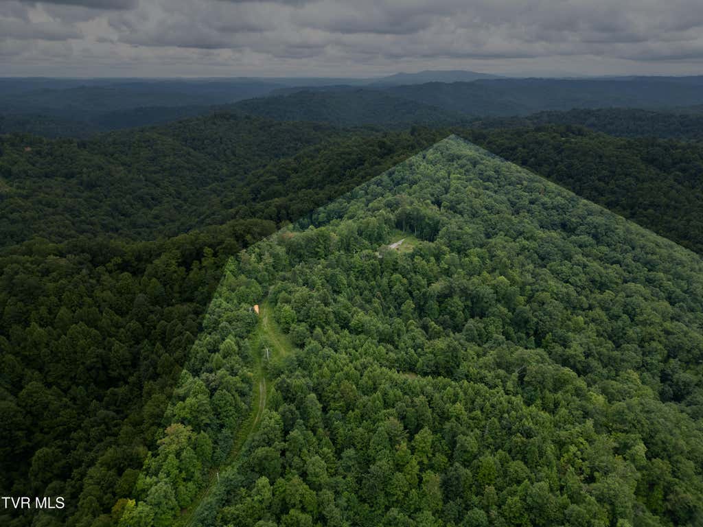 Photo of Tbd Lick Creek Road, Haysi, VA 24256 (MLS # 9999102)