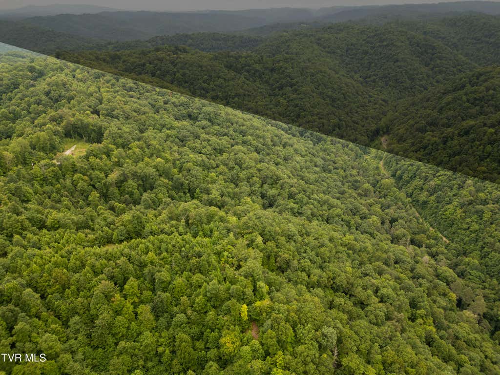 Photo of Tbd Lick Creek Road, Haysi, VA 24256 (MLS # 9999102)