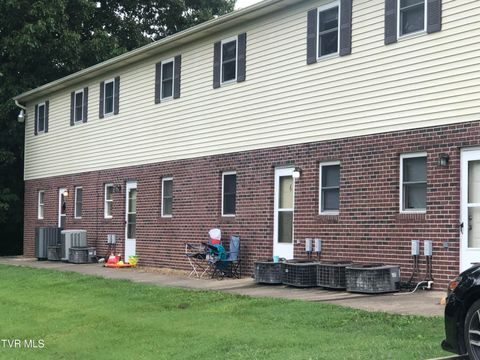 Photo of 155 Mays Street, Greeneville, TN 37743 (MLS # 9987225)