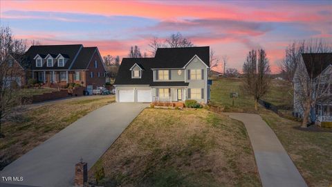 Photo of 117 Barefoot Landing Drive, Blountville, TN 37617 (MLS # 9990628)