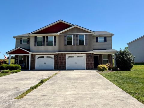 Photo of 415 Manchester Place, Bristol, TN 37620 (MLS # 9995303)