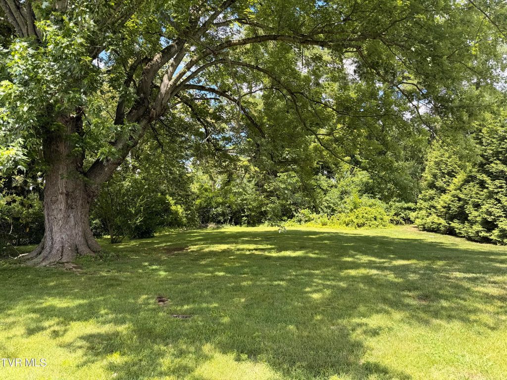 Photo of 2522 Browns Mill Court, Johnson City, TN 37604 (MLS # 9996466)