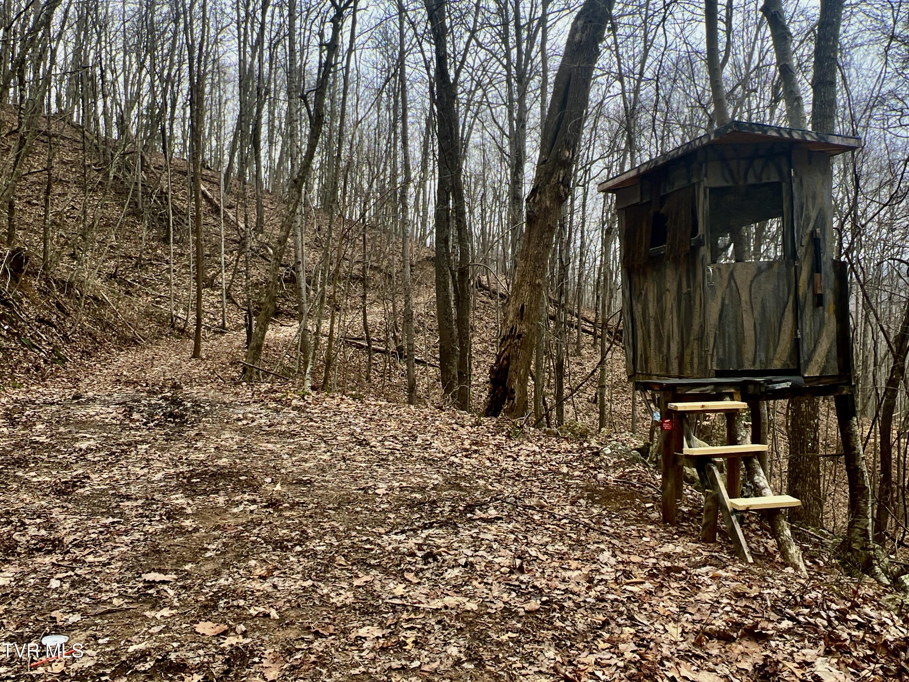 000 Pressmens Home Road, Rogersville, Tennessee image 32