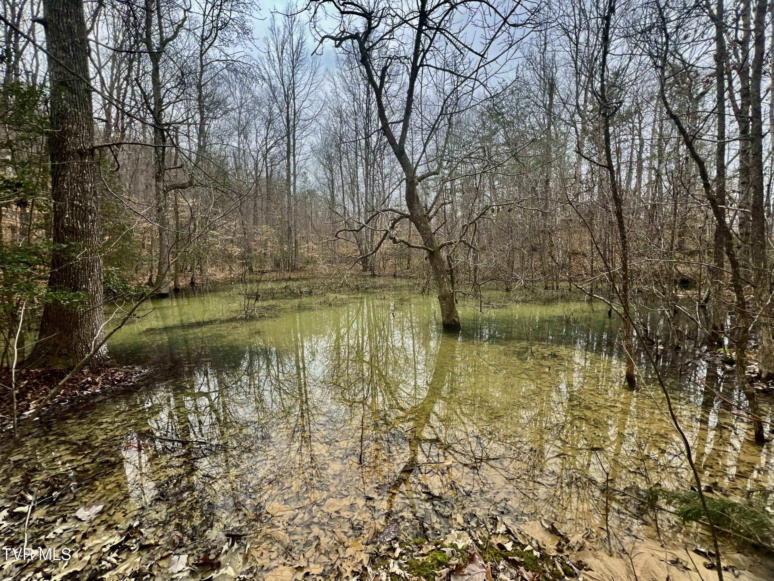 000 Pressmens Home Road, Rogersville, Tennessee image 37