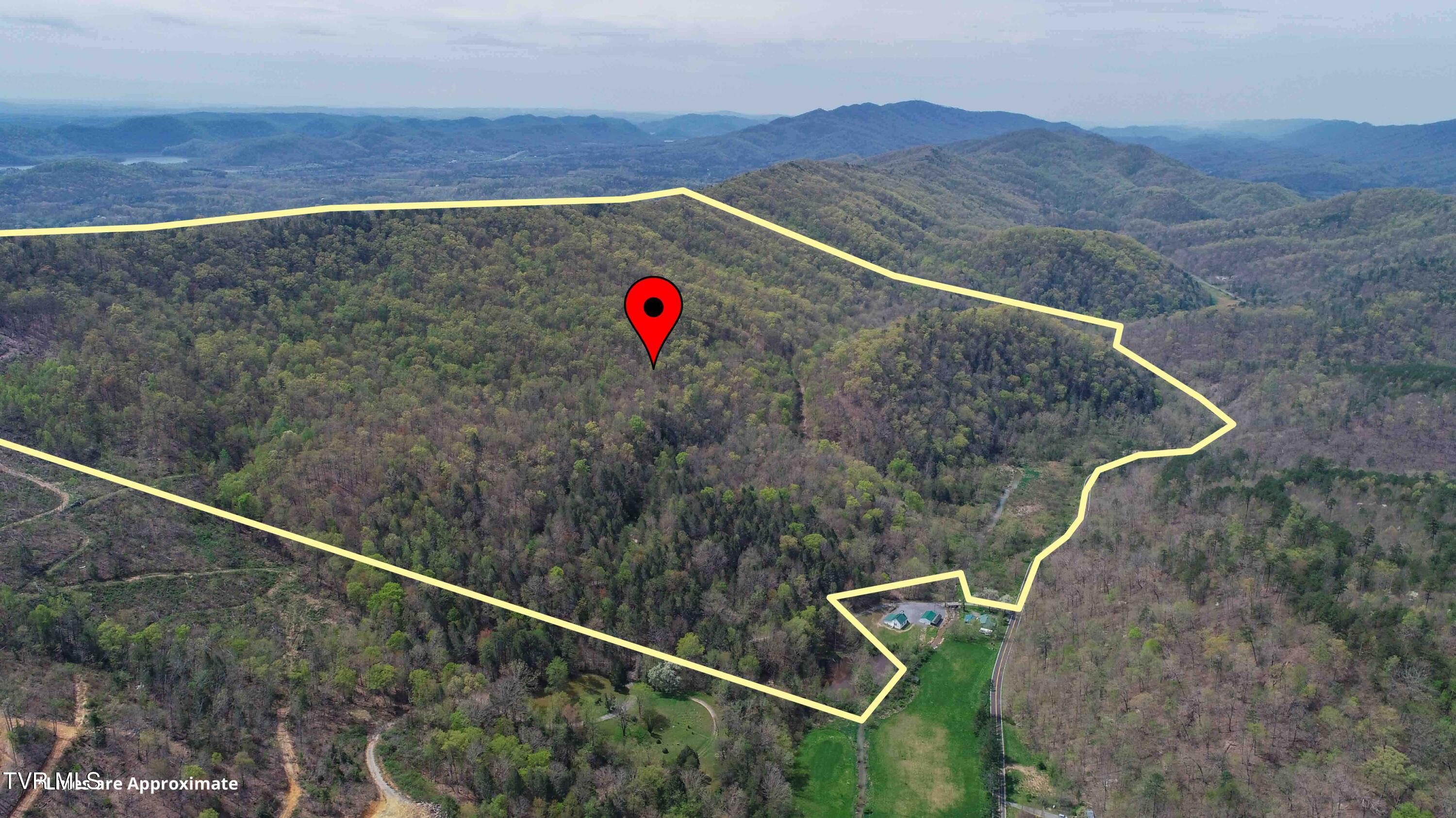 000 Pressmens Home Road, Rogersville, Tennessee image 3