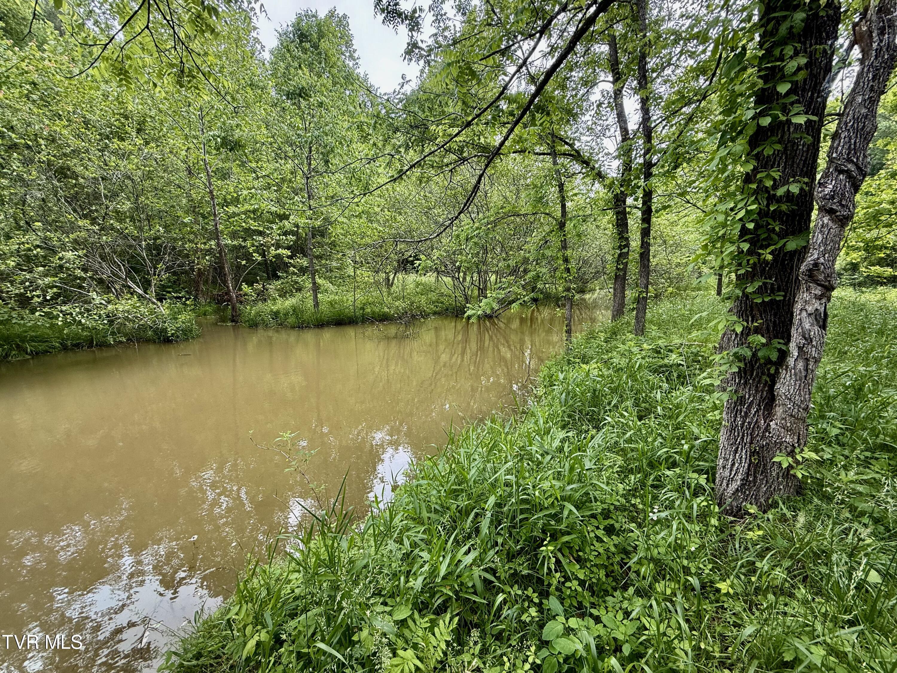 212/Ac 0 Tbd Pressmens Home Road, Rogersville, Tennessee image 4