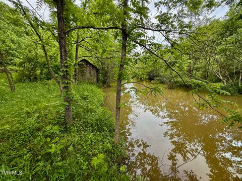 212/Ac 0 Tbd Pressmens Home Road Rogersville TN 37857