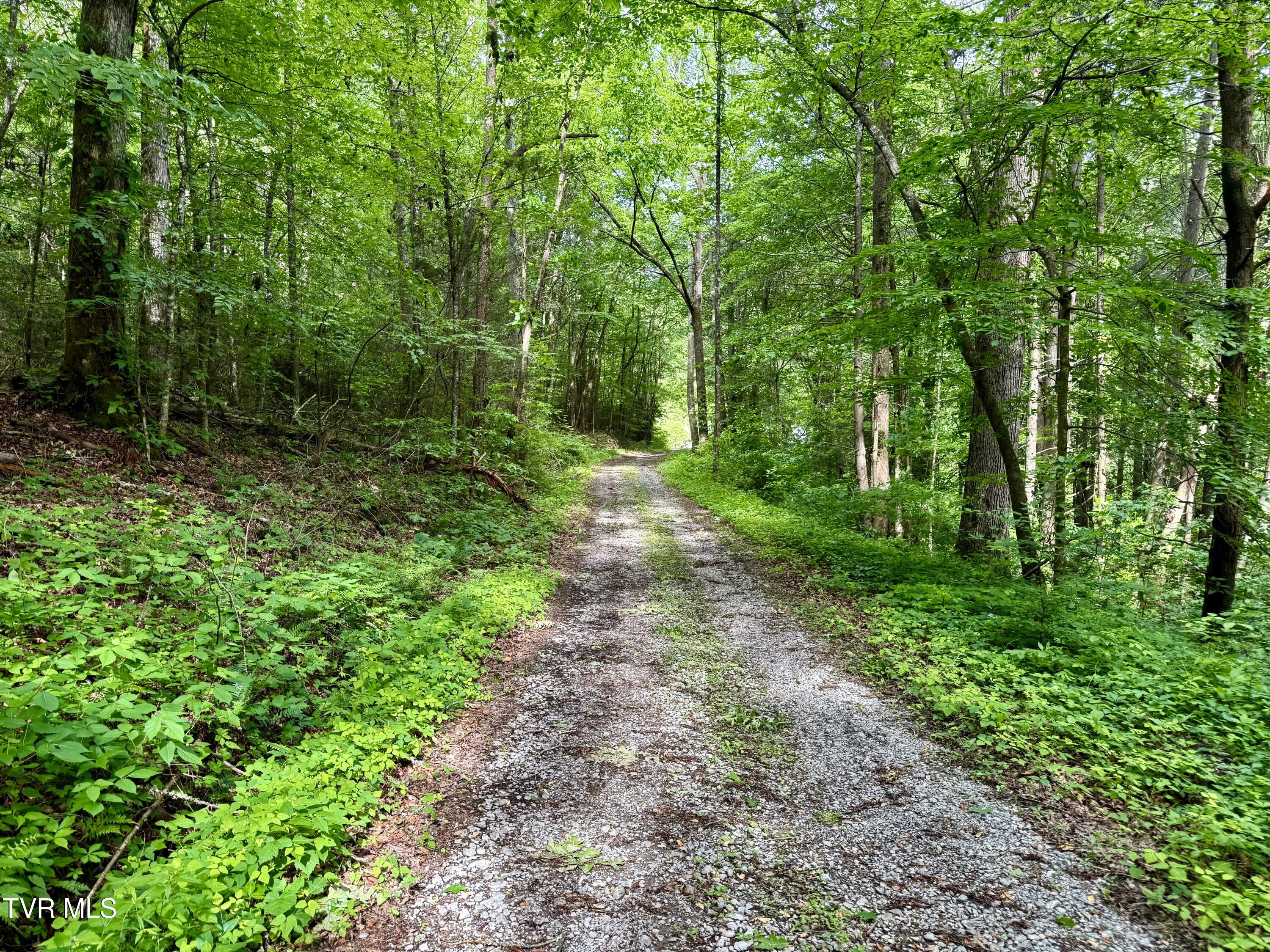 212/Ac 0 Tbd Pressmens Home Road, Rogersville, Tennessee image 5