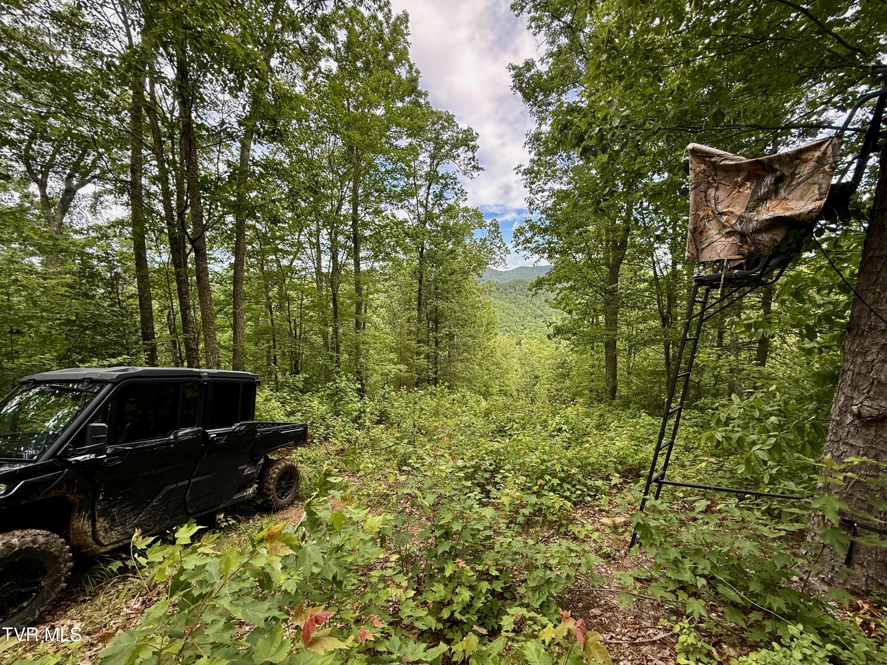 212/Ac 0 Tbd Pressmens Home Road, Rogersville, Tennessee image 11