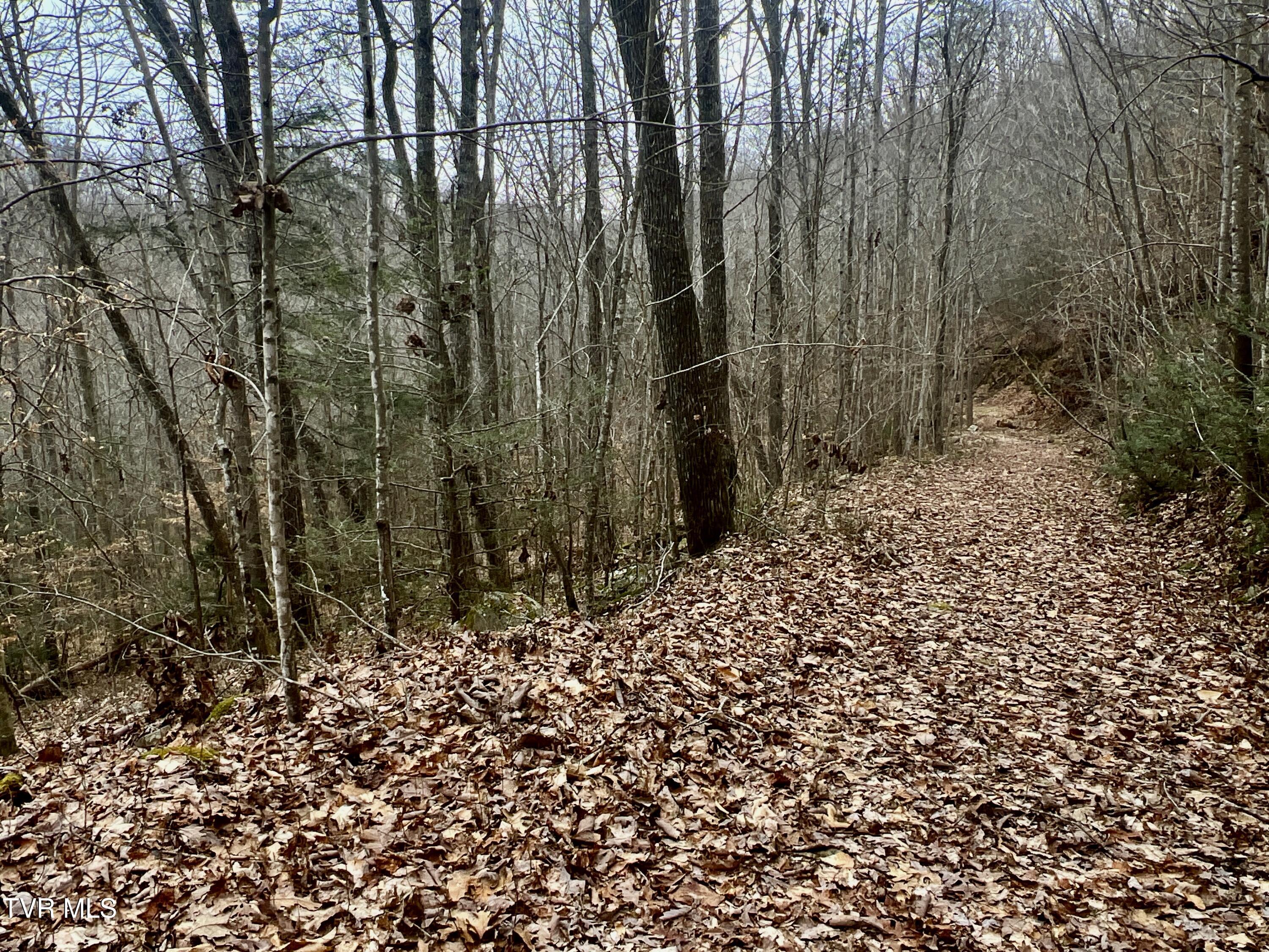 000 Pressmens Home Road, Rogersville, Tennessee image 15