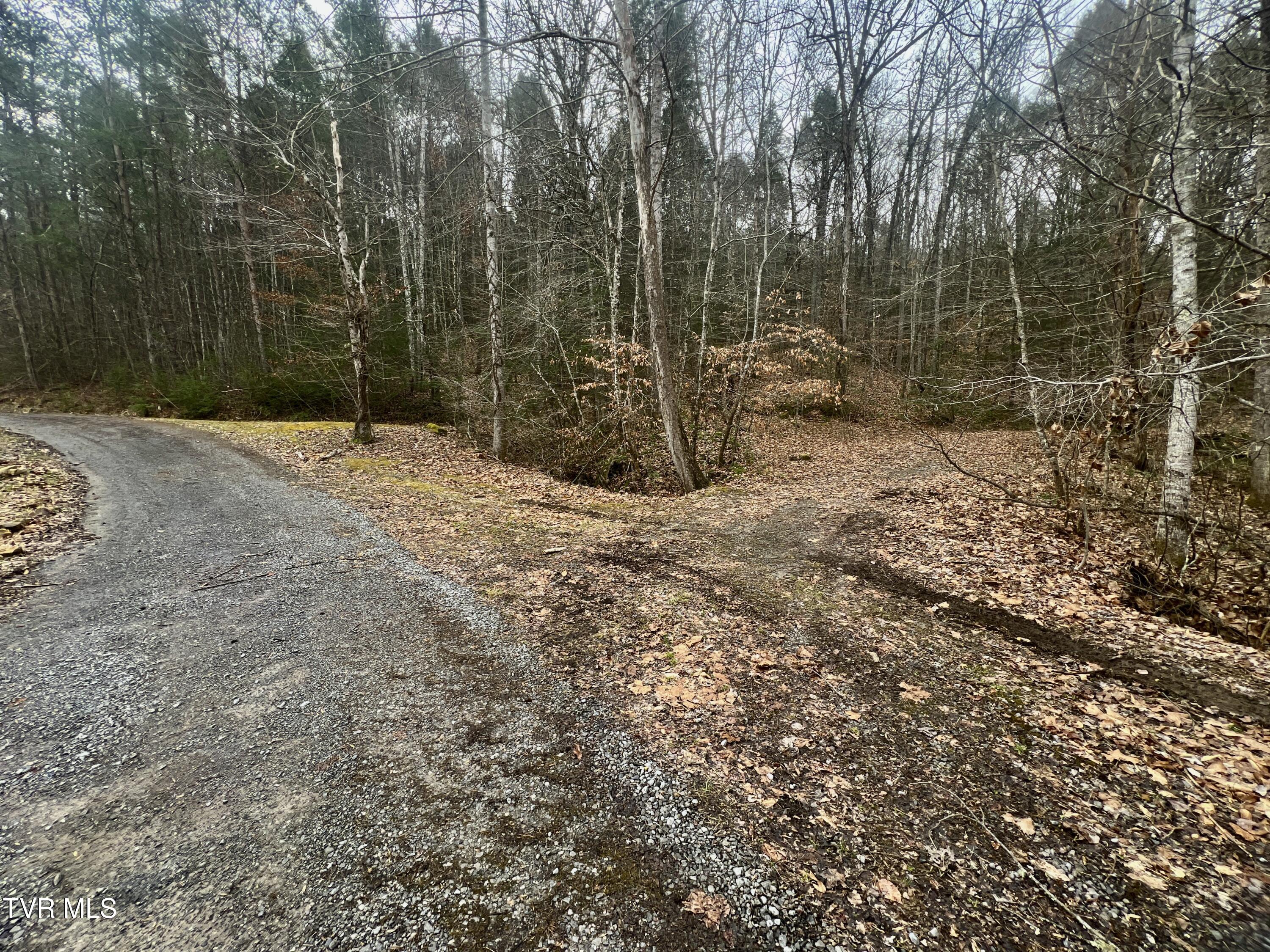 000 Pressmens Home Road, Rogersville, Tennessee image 47