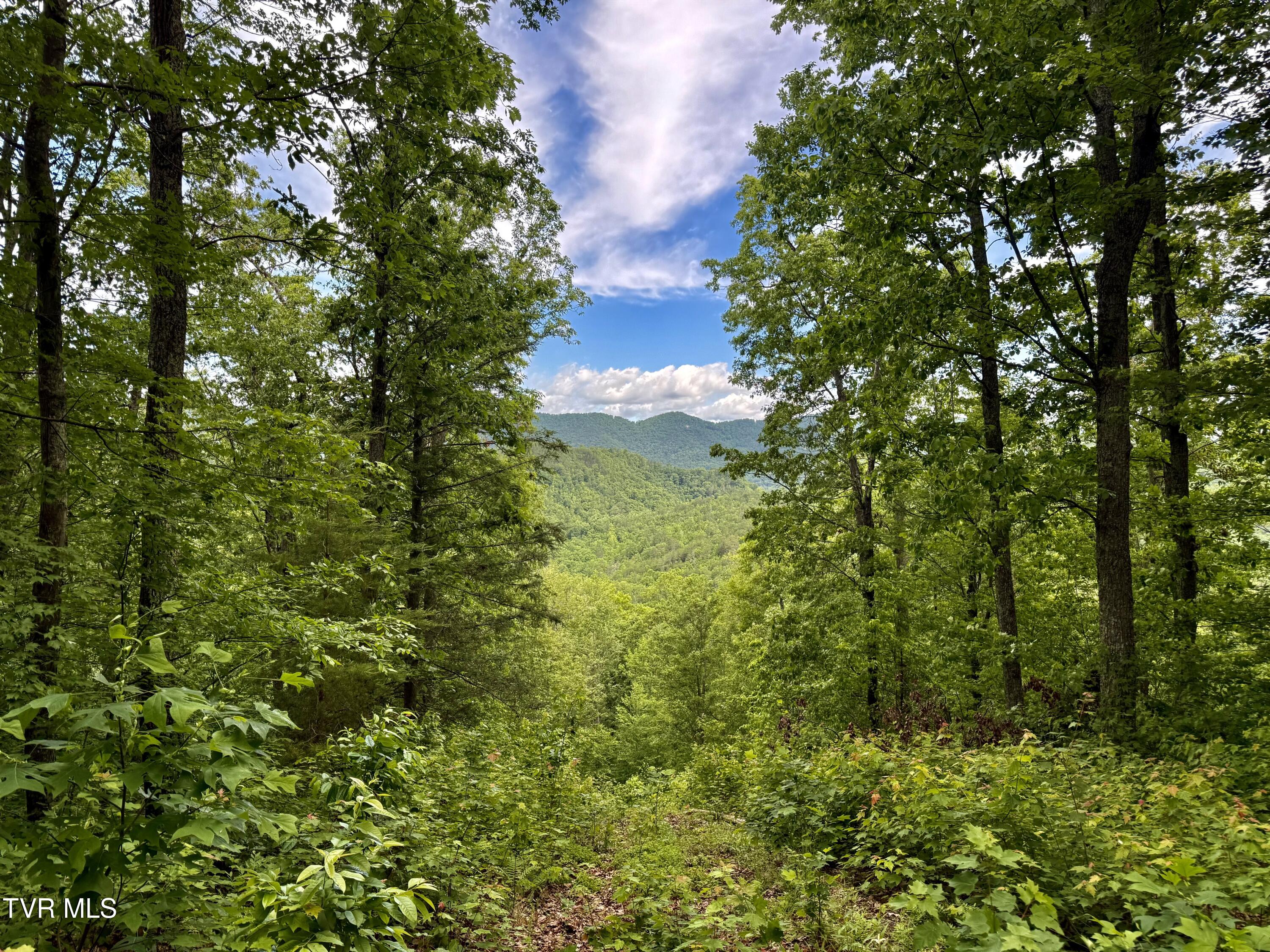 212/Ac 0 Tbd Pressmens Home Road, Rogersville, Tennessee image 7
