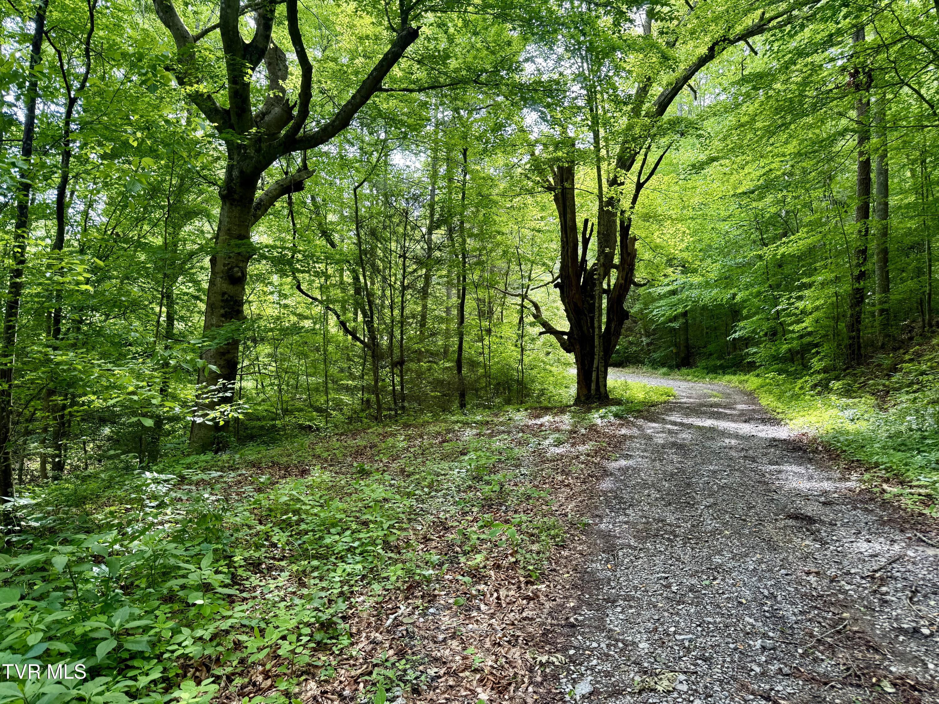 212/Ac 0 Tbd Pressmens Home Road, Rogersville, Tennessee image 6