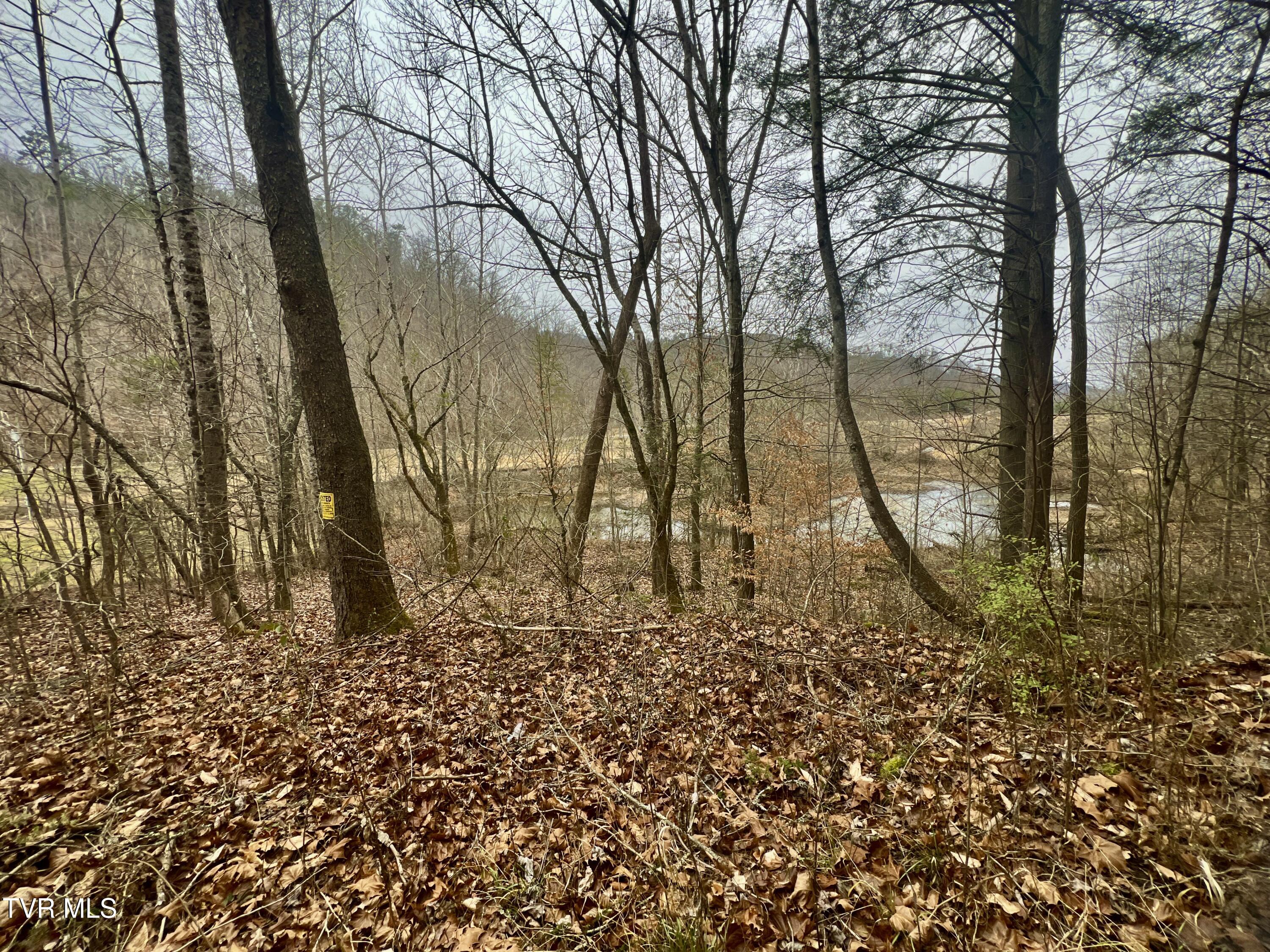 000 Pressmens Home Road, Rogersville, Tennessee image 39