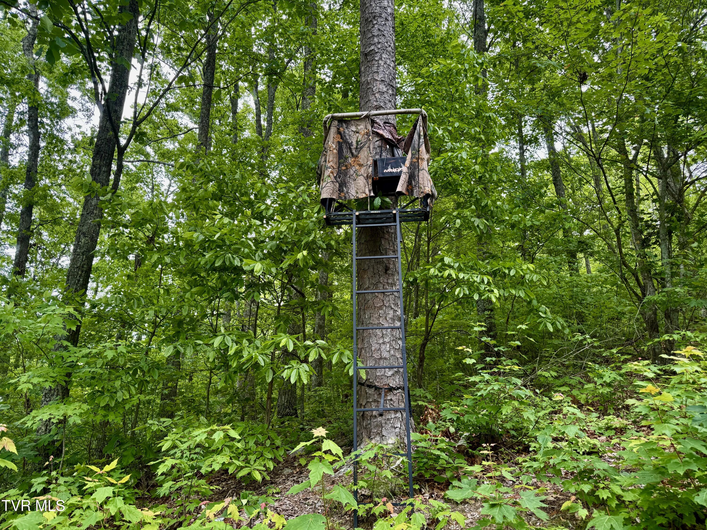 212/Ac 0 Tbd Pressmens Home Road, Rogersville, Tennessee image 12