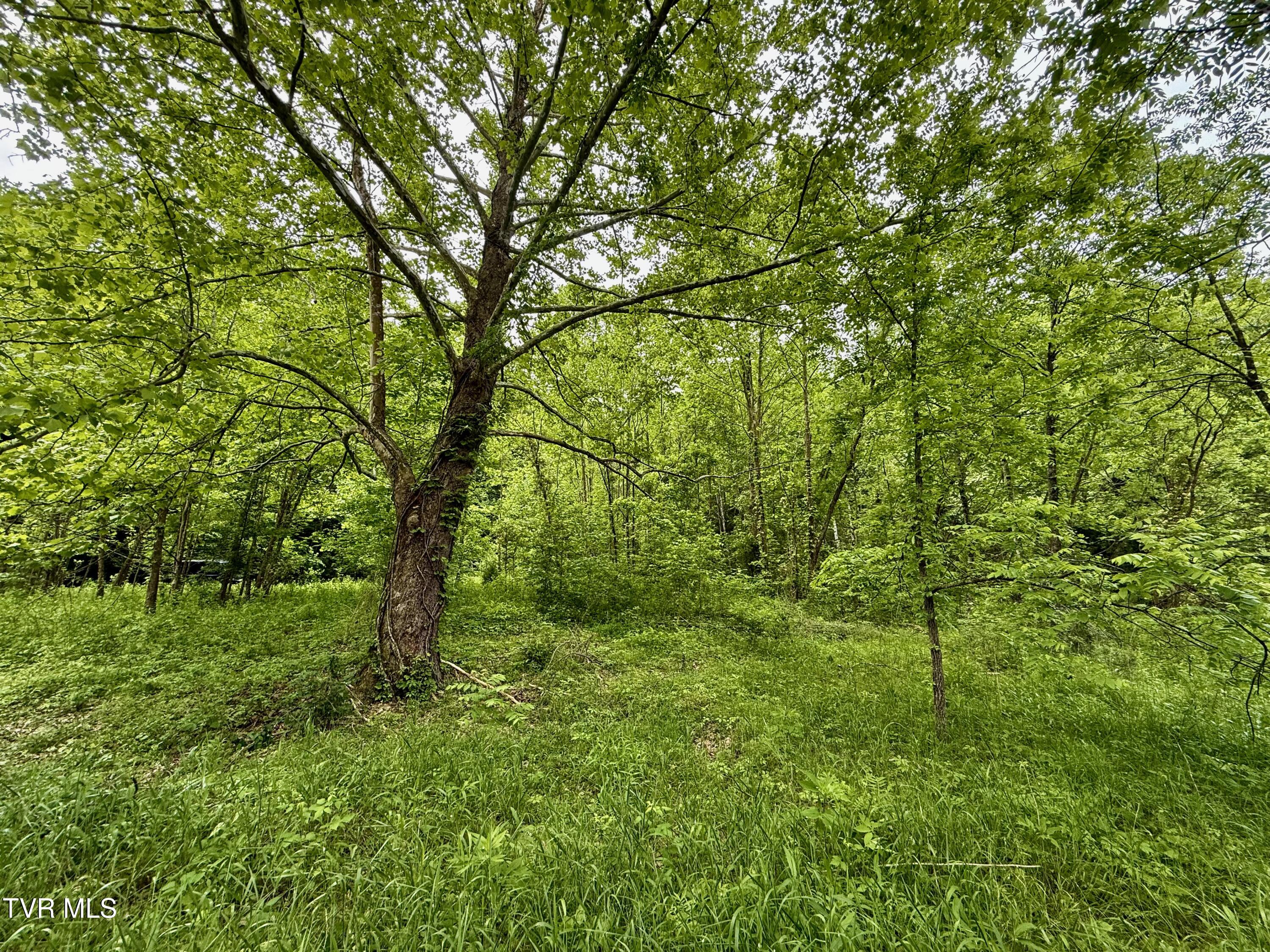 212/Ac 0 Tbd Pressmens Home Road, Rogersville, Tennessee image 8