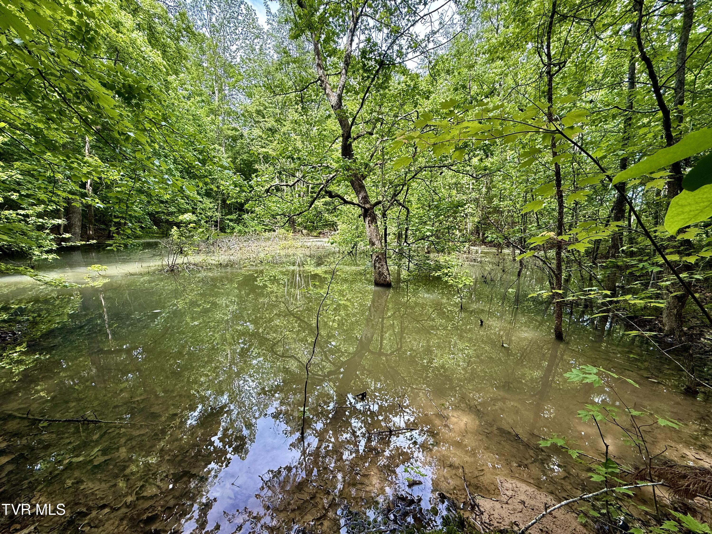 212/Ac 0 Tbd Pressmens Home Road, Rogersville, Tennessee image 13