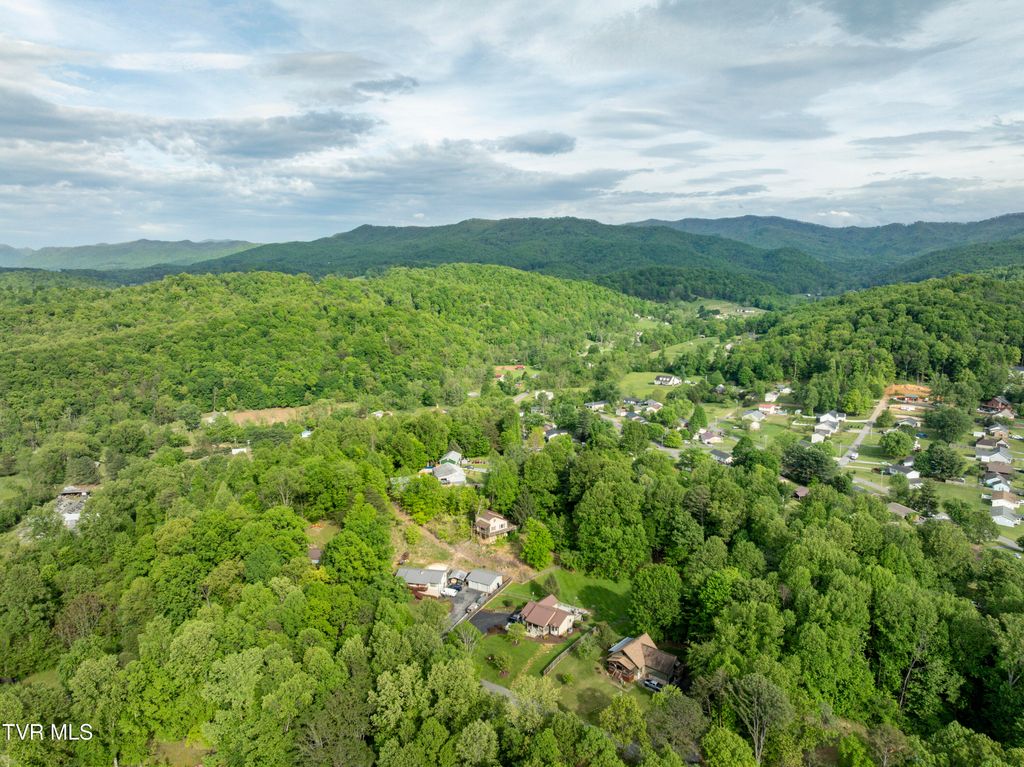 Photo of 155 Horseshoe Drive, Johnson City, TN 37601 (MLS # 9988998)