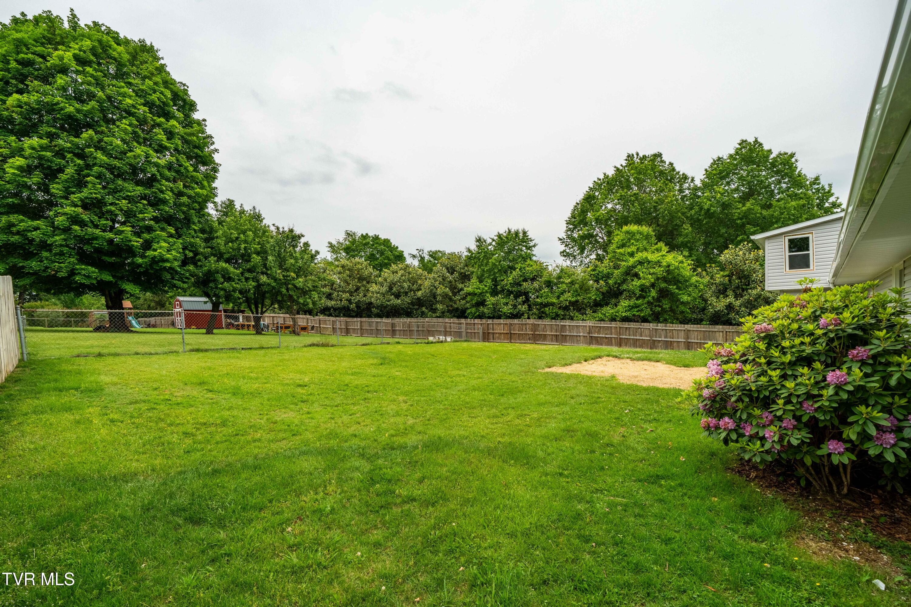 2503 Buffalo Road, Johnson City, Tennessee image 17