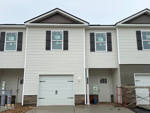 Townhouse For Sale - 137 Holt Way<br/> Sullivan County County, Blountville, TN 37617