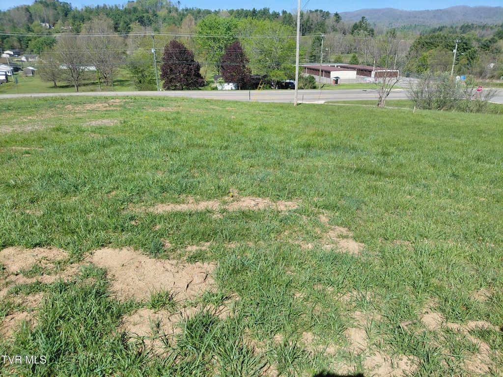Photo of 000 Shady Street, Mountain City, TN 37683 (MLS # 9994267)
