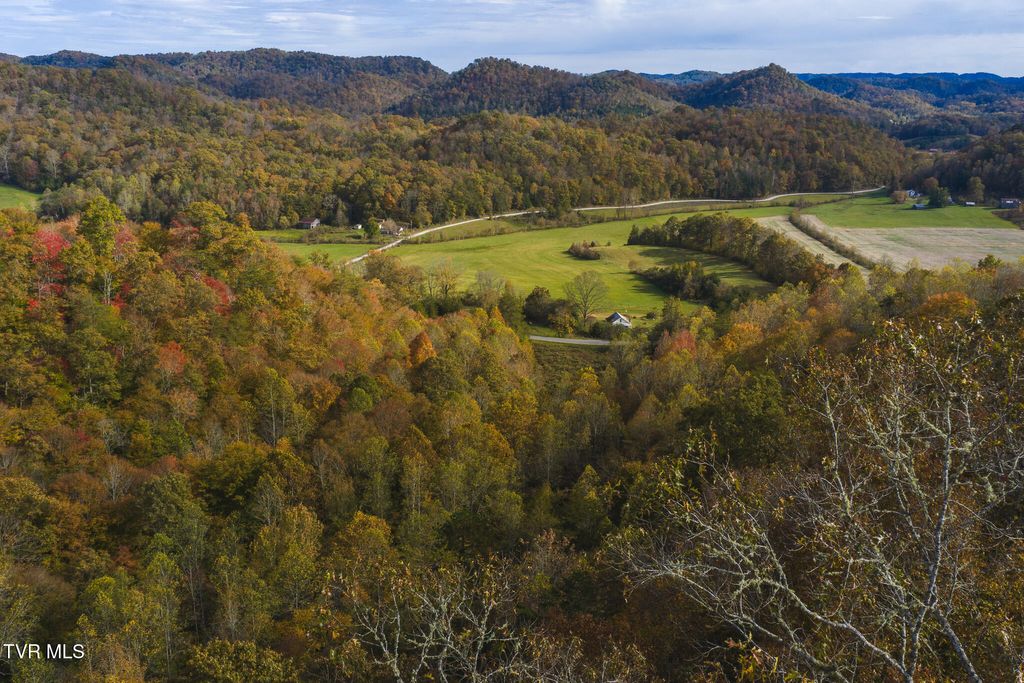 Photo of 89 Lynn Flanary Road, Blackwater, VA 24221 (MLS # 9990038)