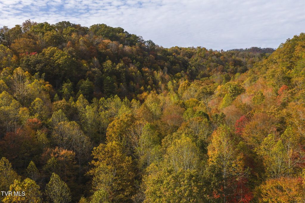 Photo of 89 Lynn Flanary Road, Blackwater, VA 24221 (MLS # 9990038)