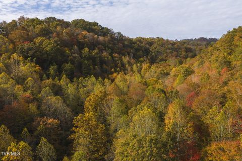 Vacant Land For Sale - 89 ACRES Lynn Flanary Road<br/> Blackwater, VA 24221