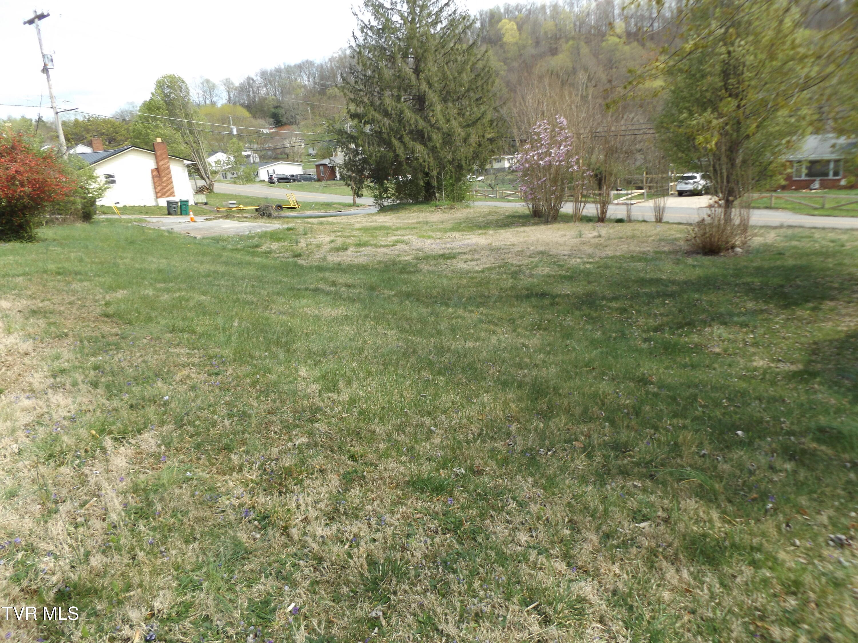 1655 Siam Road, Elizabethton, Tennessee image 3