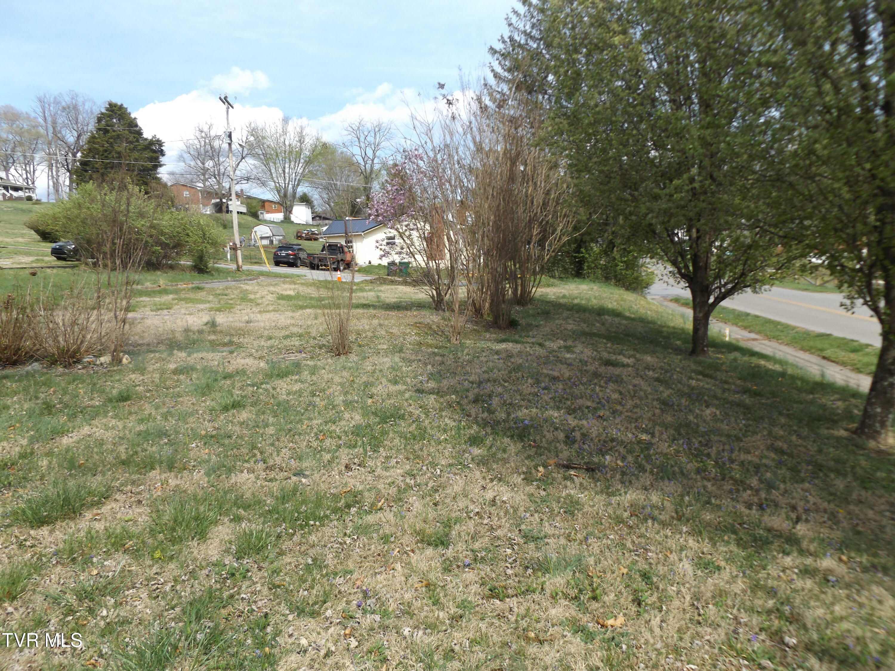 1655 Siam Road, Elizabethton, Tennessee image 6