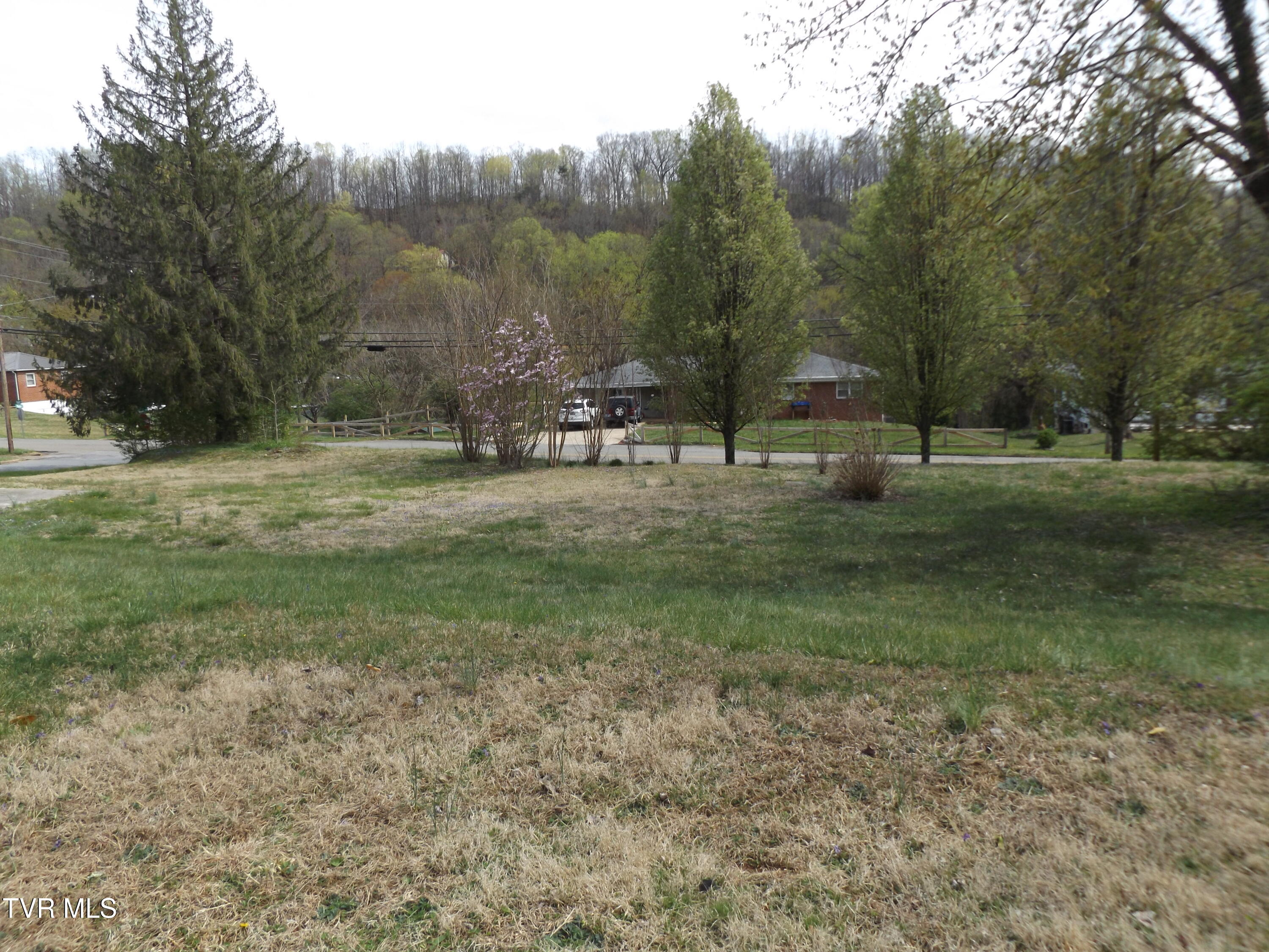 1655 Siam Road, Elizabethton, Tennessee image 1