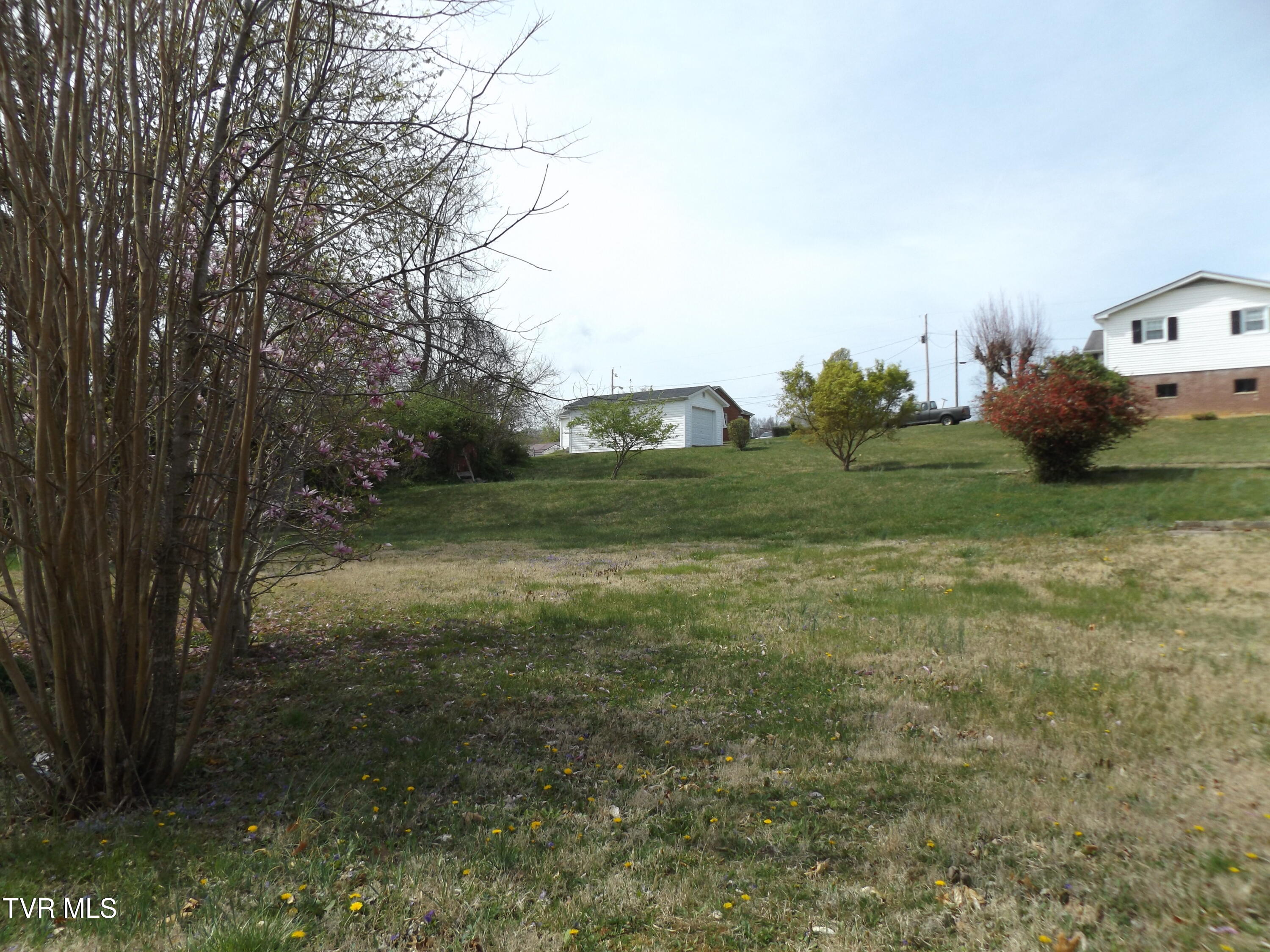 1655 Siam Road, Elizabethton, Tennessee image 7
