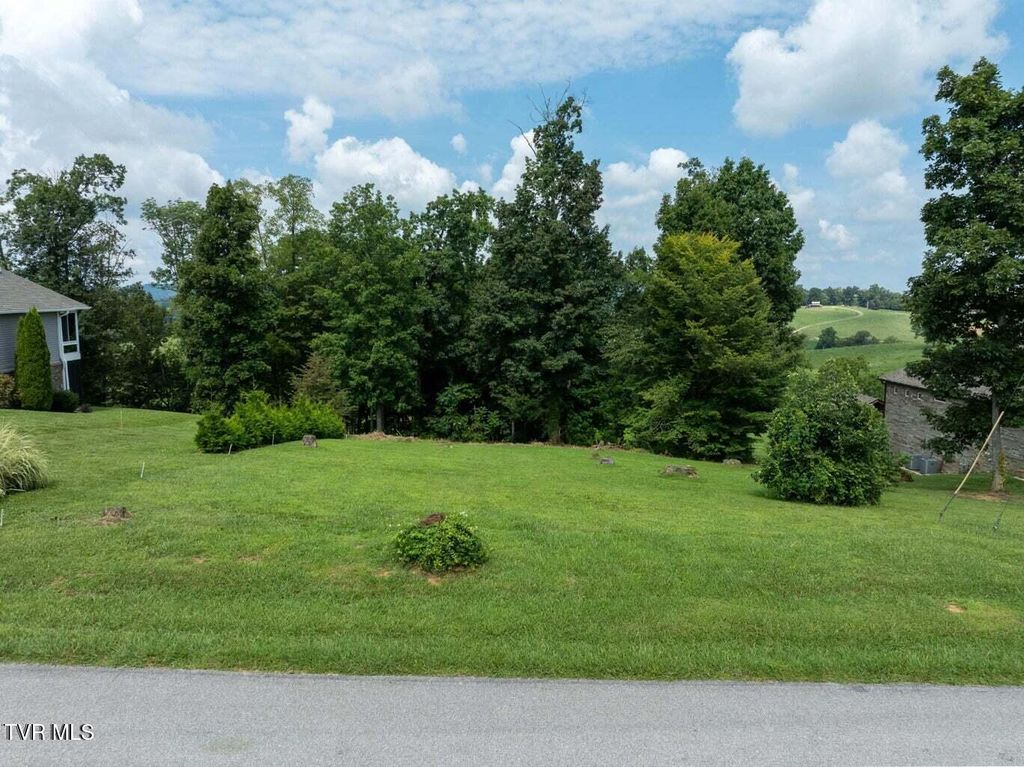 Photo of 4 Hales Chapel Road, Gray, TN 37615 (MLS # 9994526)
