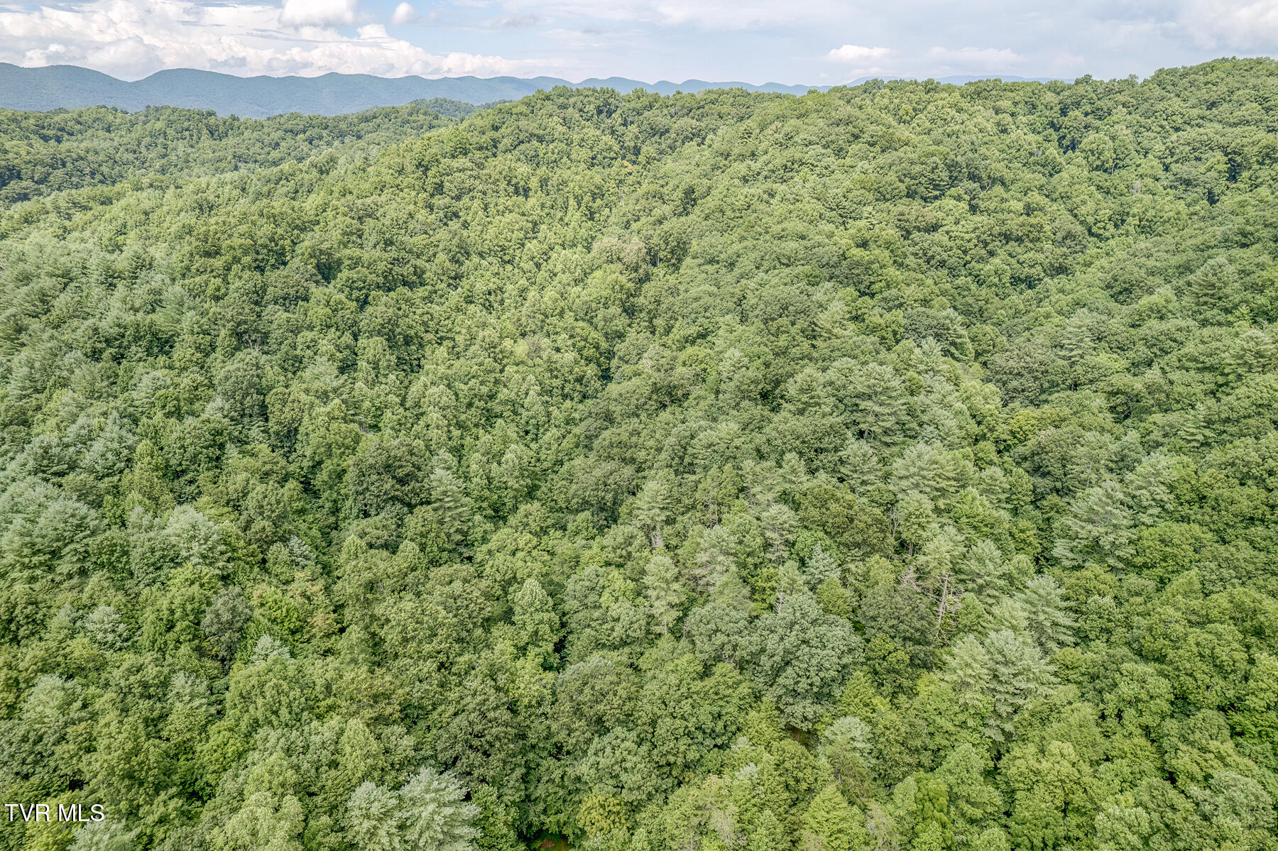 7519 Wolf Run Road, Bristol, Virginia image 8