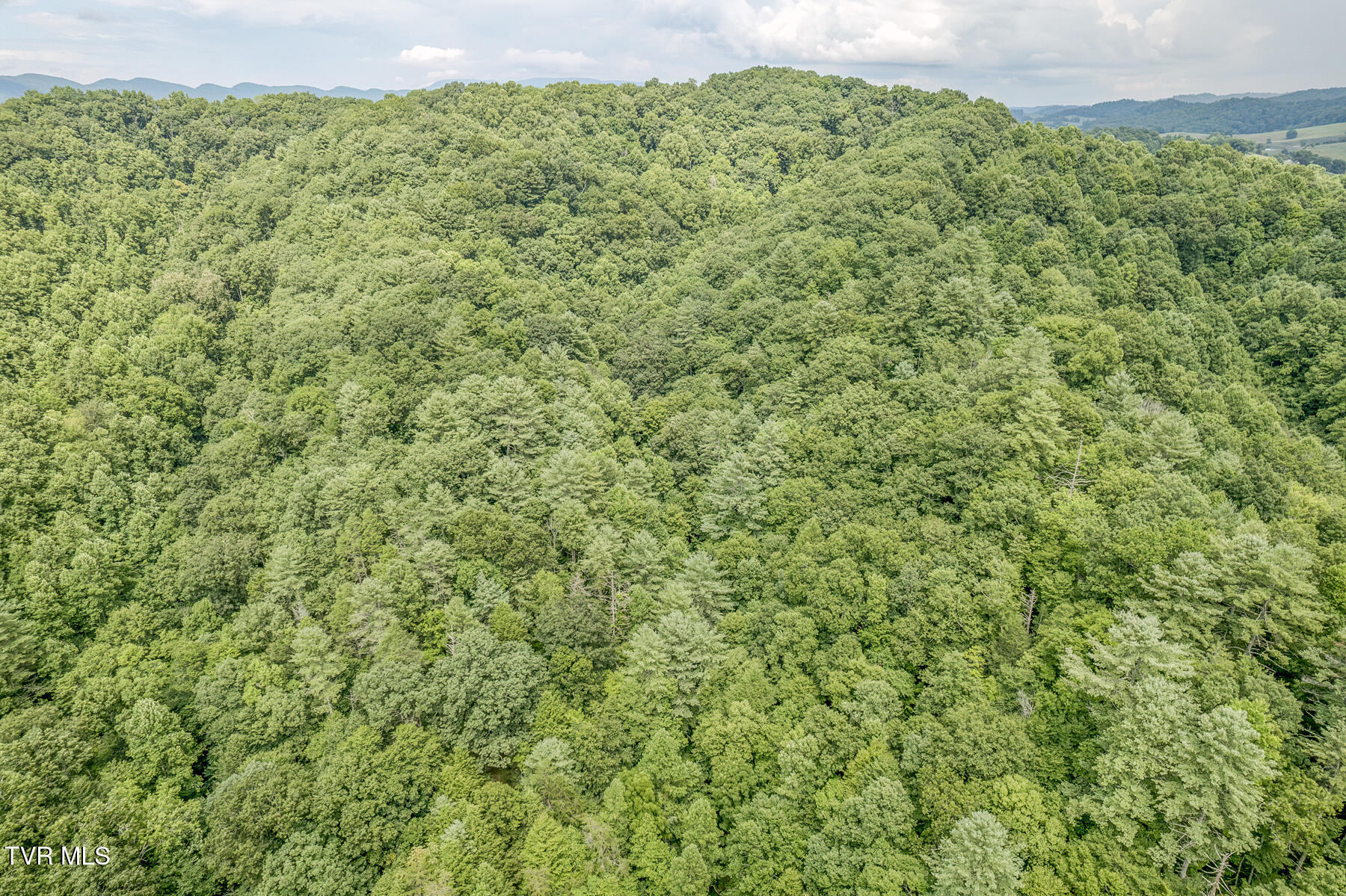 7519 Wolf Run Road, Bristol, Virginia image 7