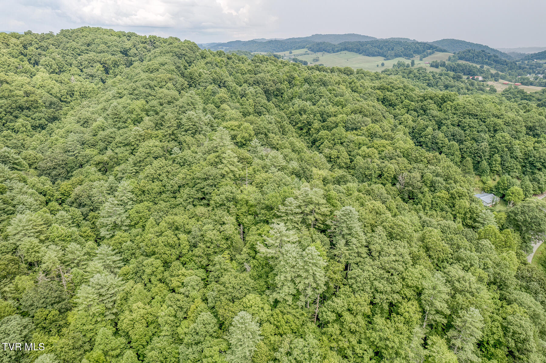 7519 Wolf Run Road, Bristol, Virginia image 9