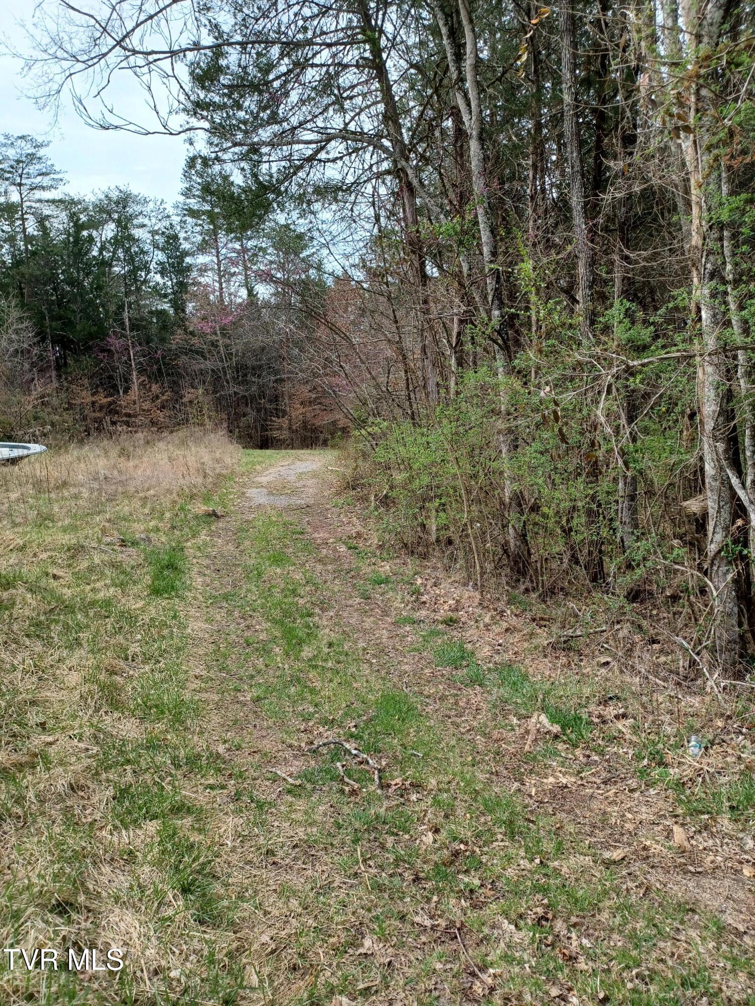 20 Acres Tbd Dunville Gap Road, Rutledge, Tennessee image 4