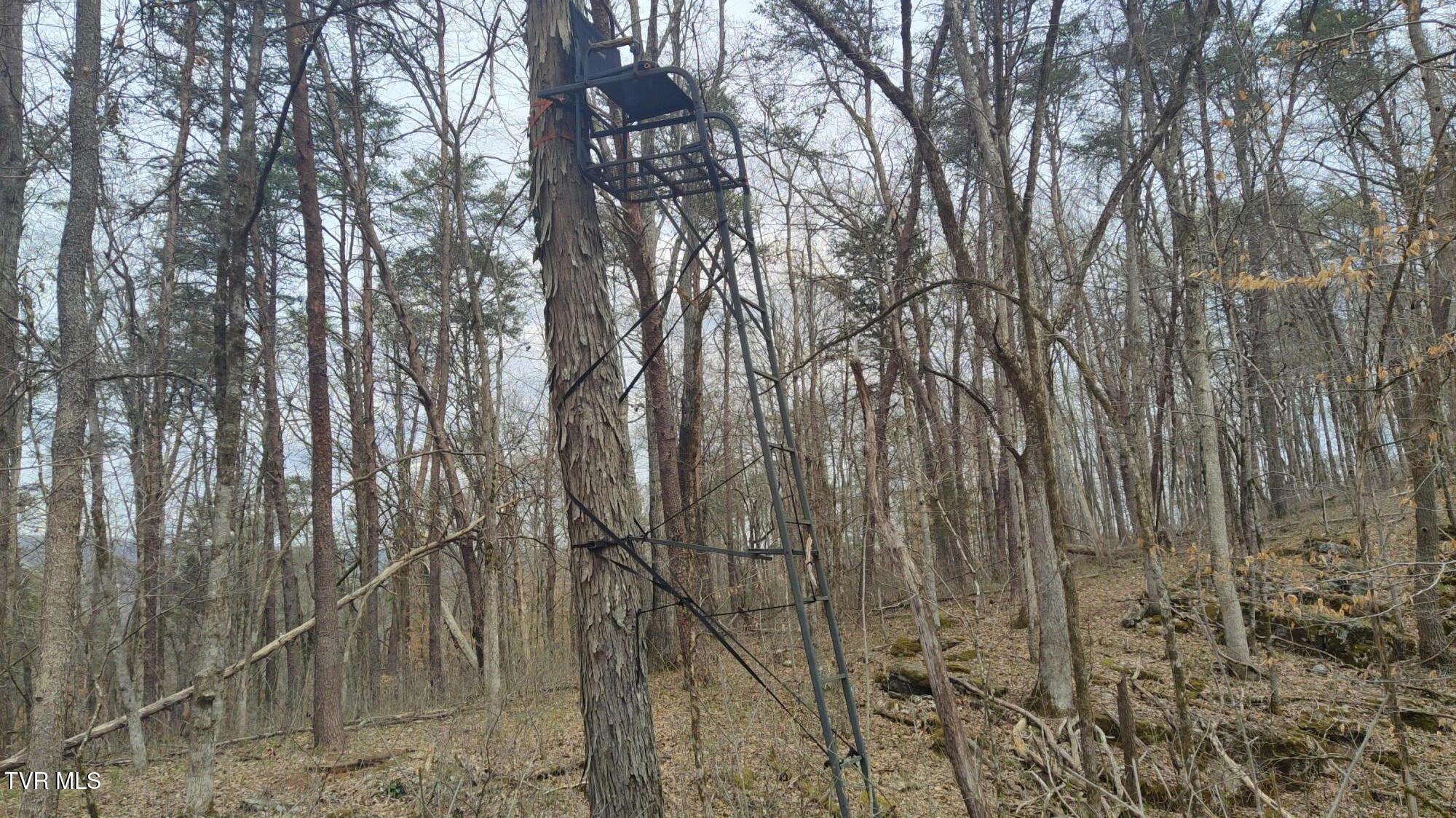 20 Acres Tbd Dunville Gap Road, Rutledge, Tennessee image 13