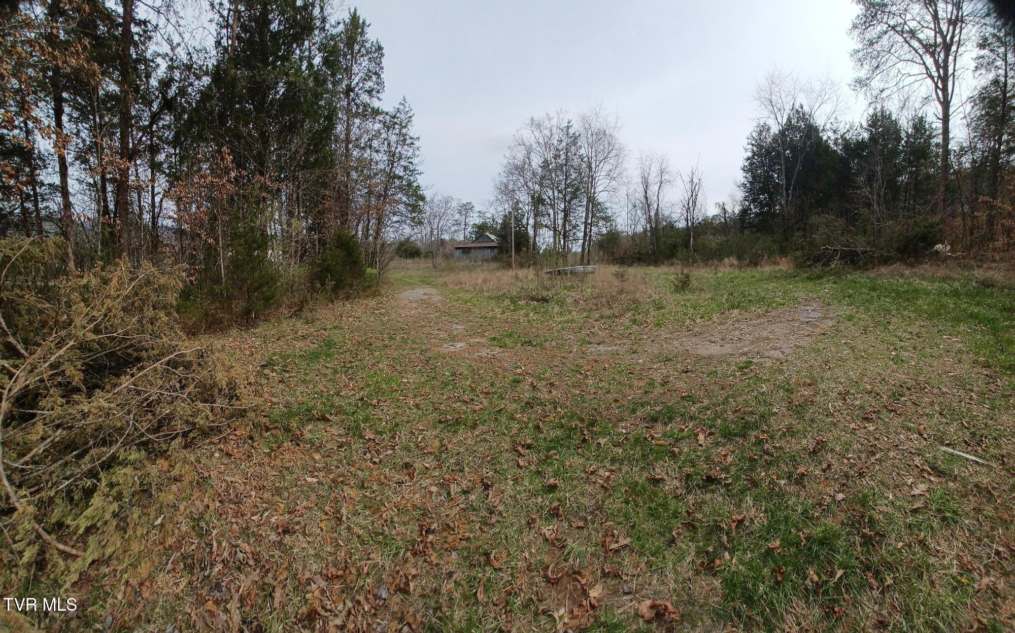 20 Acres Tbd Dunville Gap Road, Rutledge, Tennessee image 5
