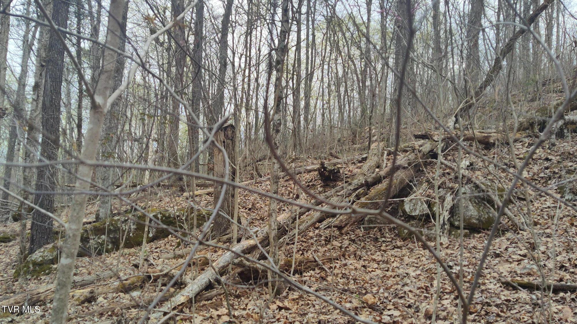 20 Acres Tbd Dunville Gap Road, Rutledge, Tennessee image 20