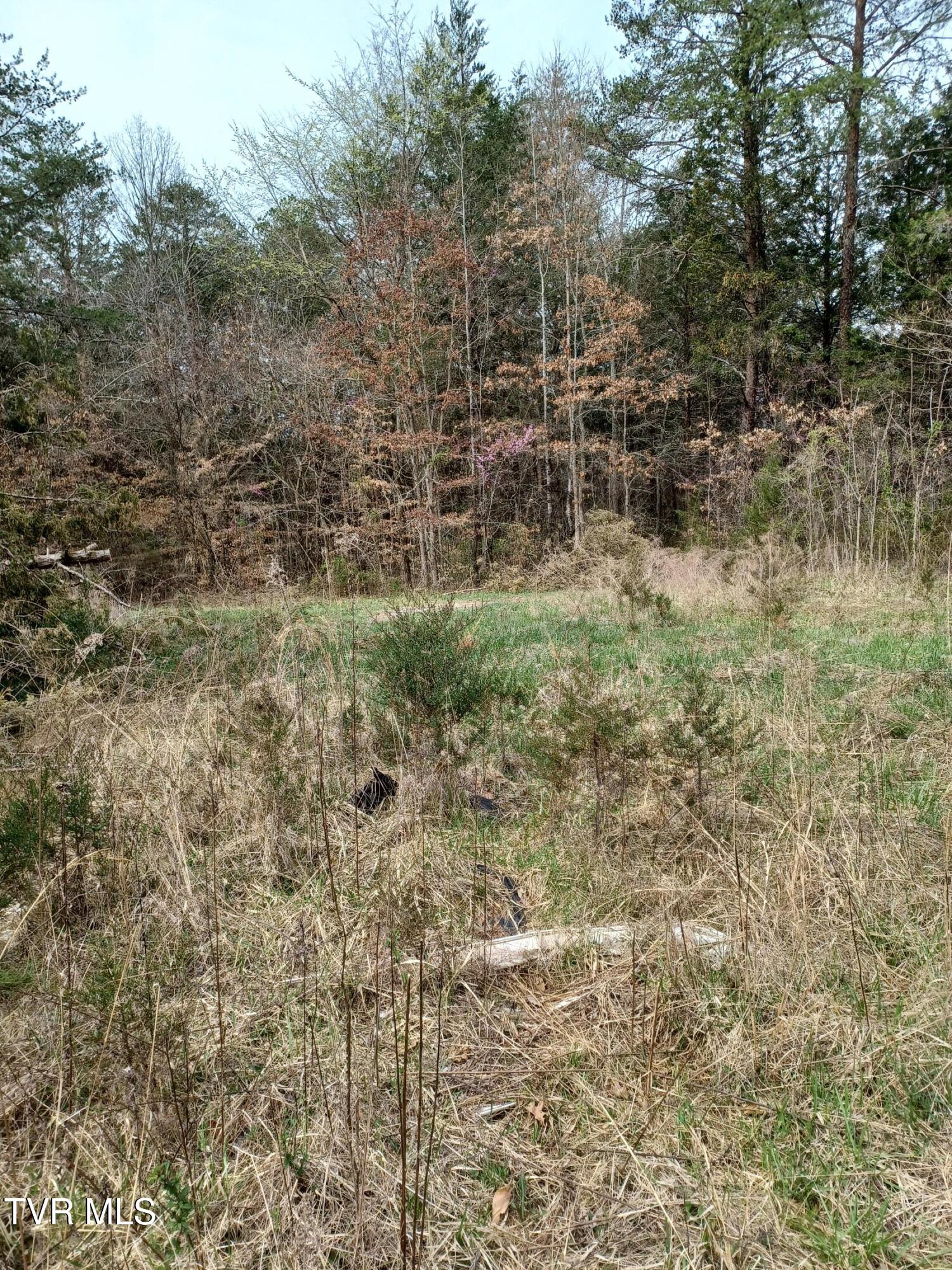 20 Acres Tbd Dunville Gap Road, Rutledge, Tennessee image 8