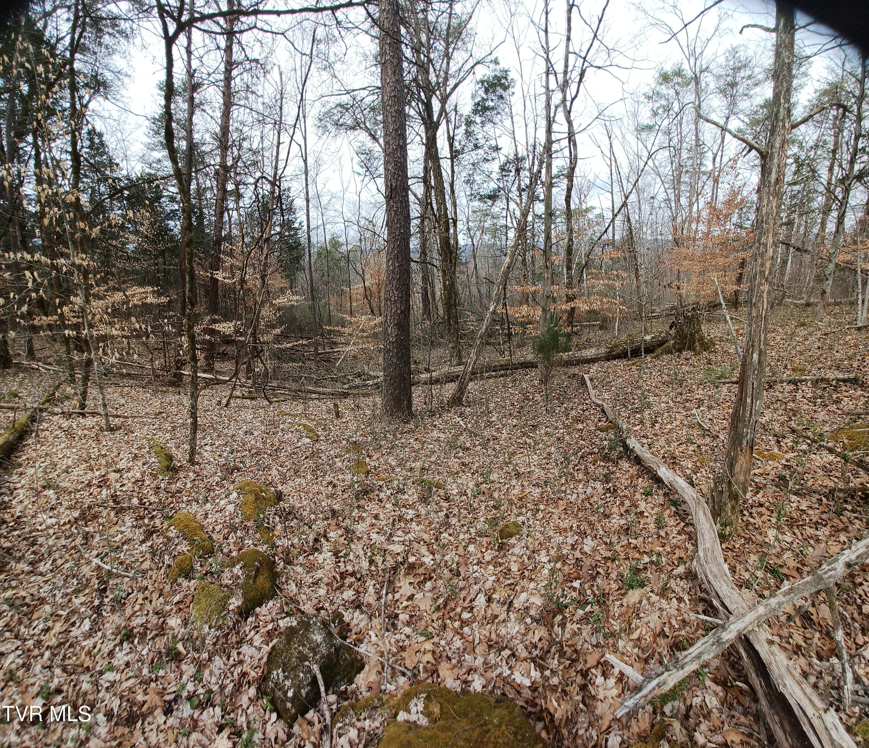 20 Acres Tbd Dunville Gap Road, Rutledge, Tennessee image 10