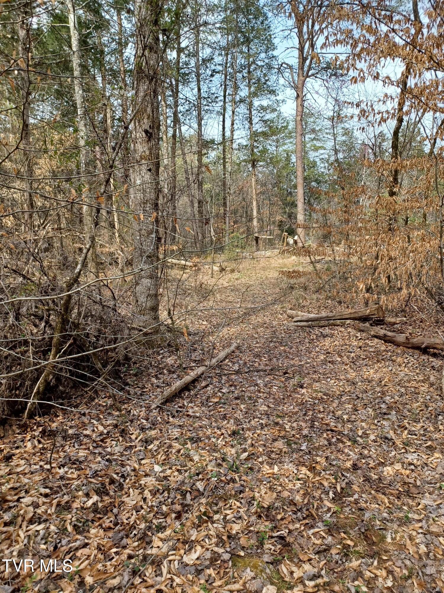 20 Acres Tbd Dunville Gap Road, Rutledge, Tennessee image 9