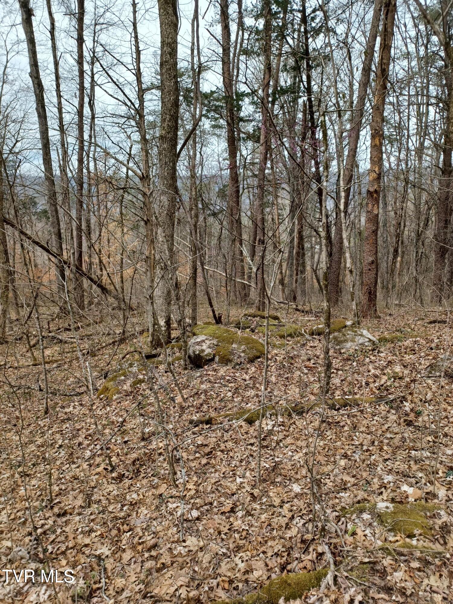 20 Acres Tbd Dunville Gap Road, Rutledge, Tennessee image 15