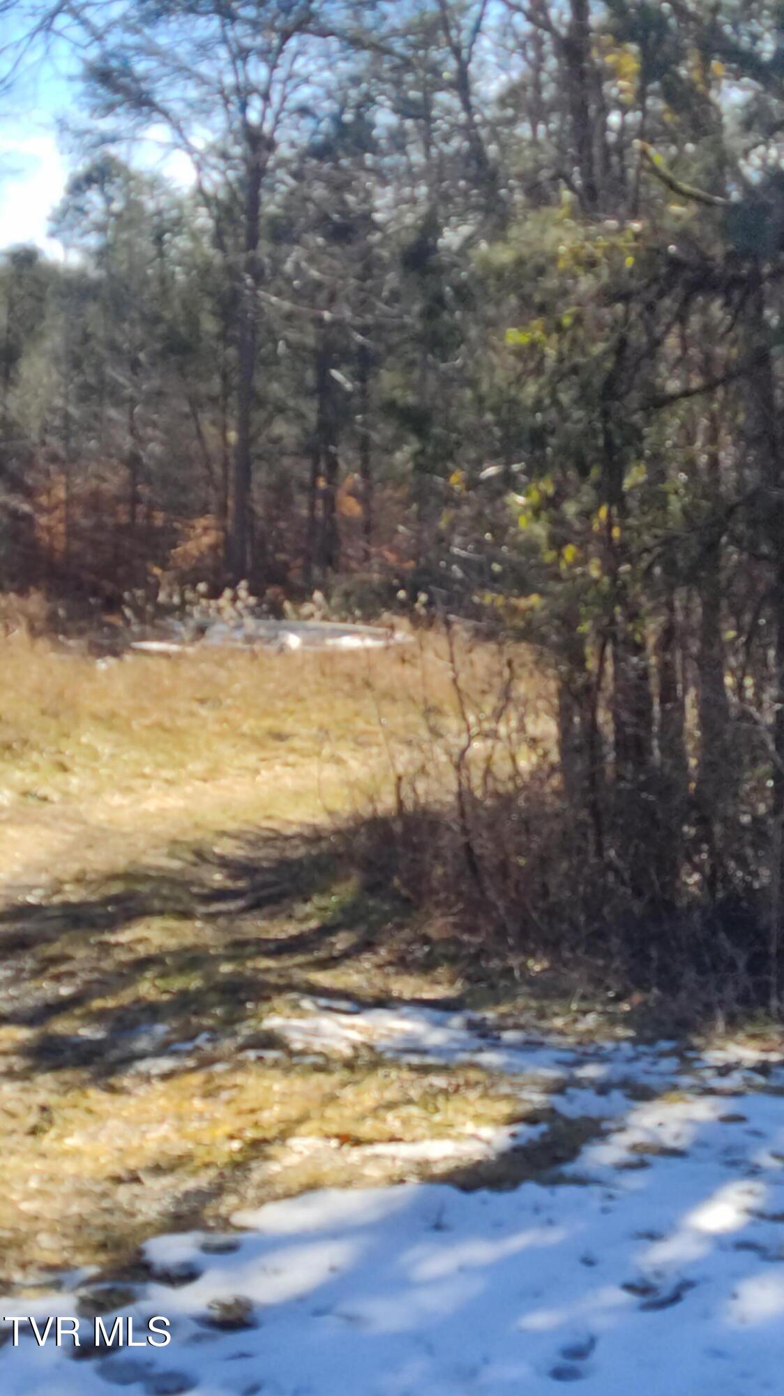 20 Acres Tbd Dunville Gap Road, Rutledge, Tennessee image 6