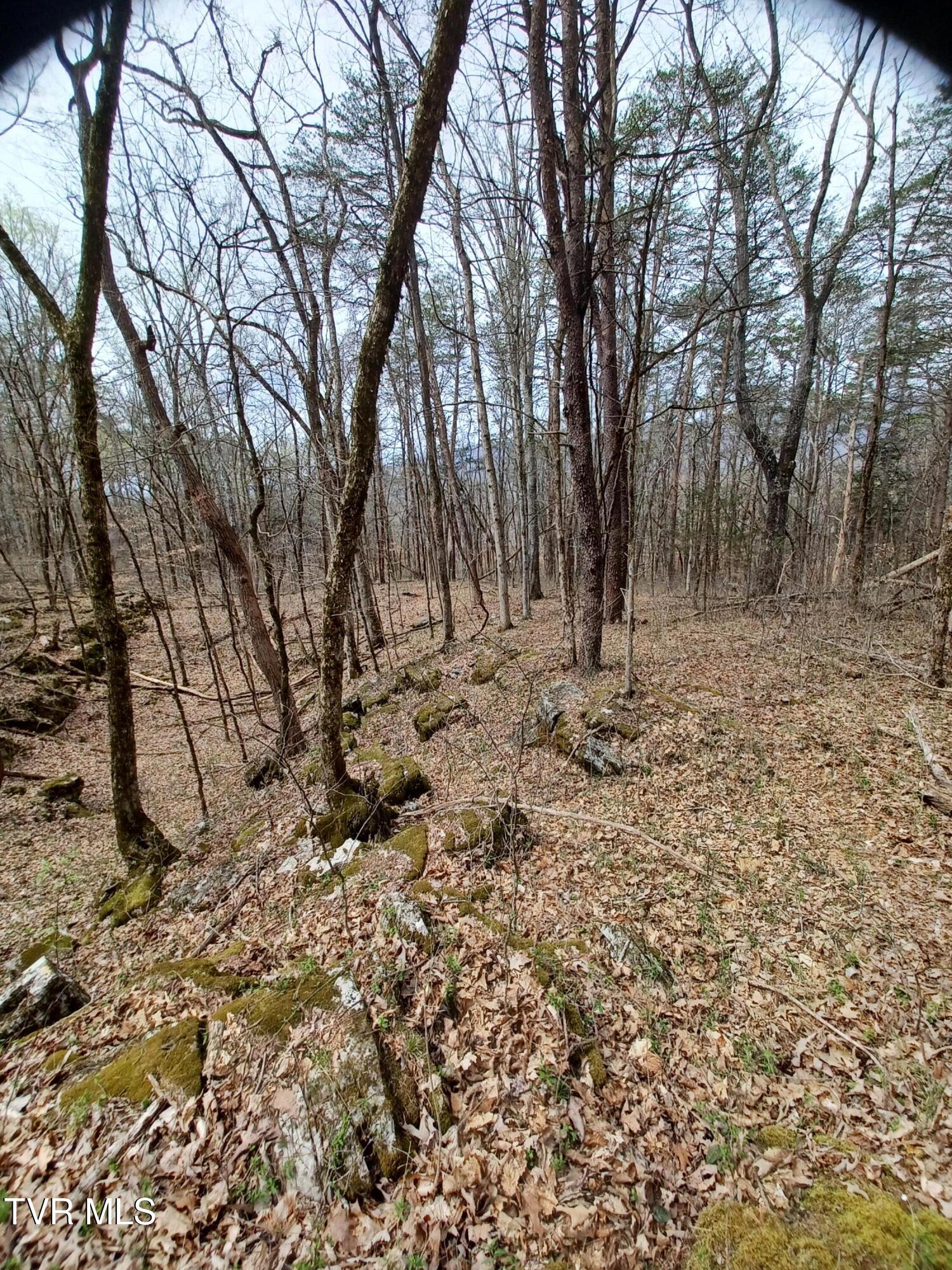 20 Acres Tbd Dunville Gap Road, Rutledge, Tennessee image 14