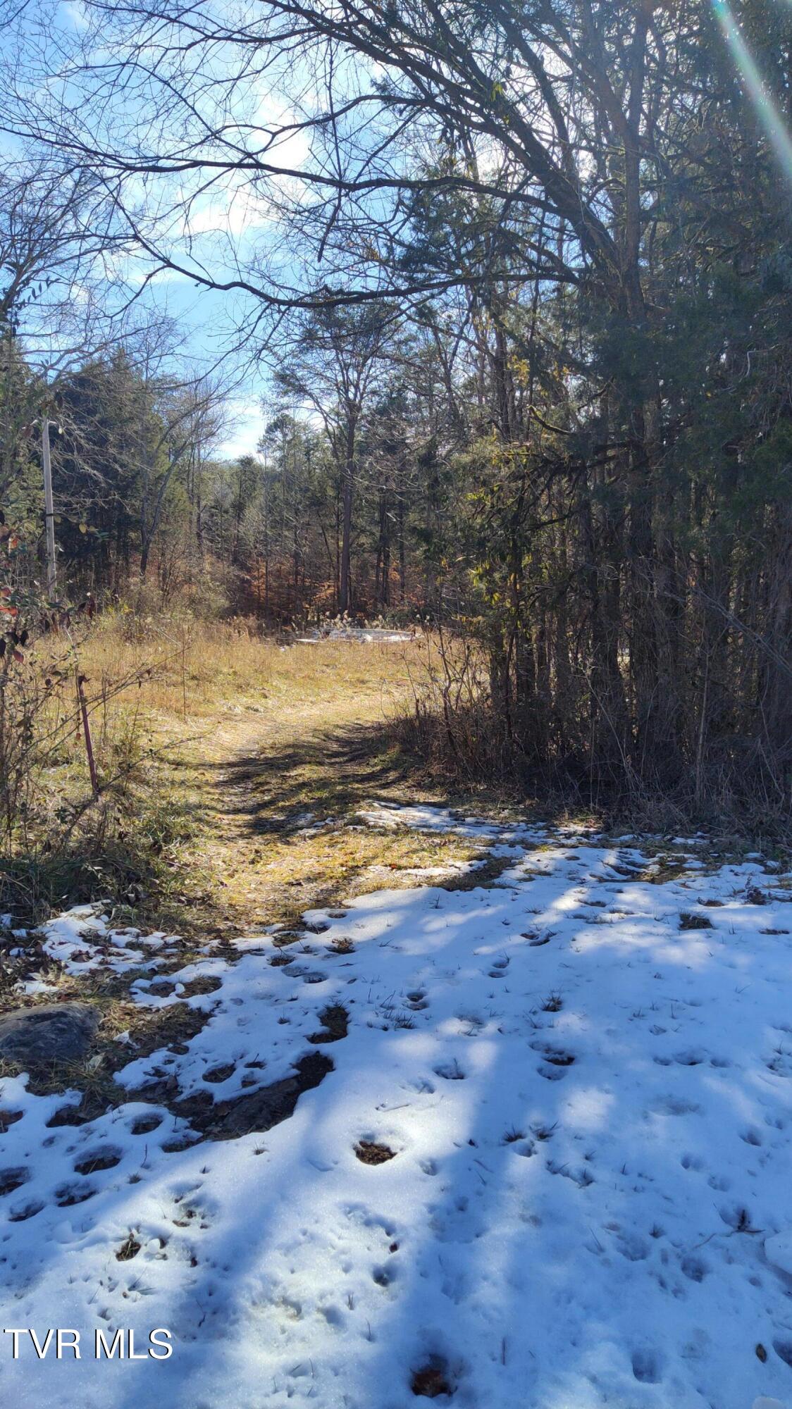 20 Acres Tbd Dunville Gap Road, Rutledge, Tennessee image 7