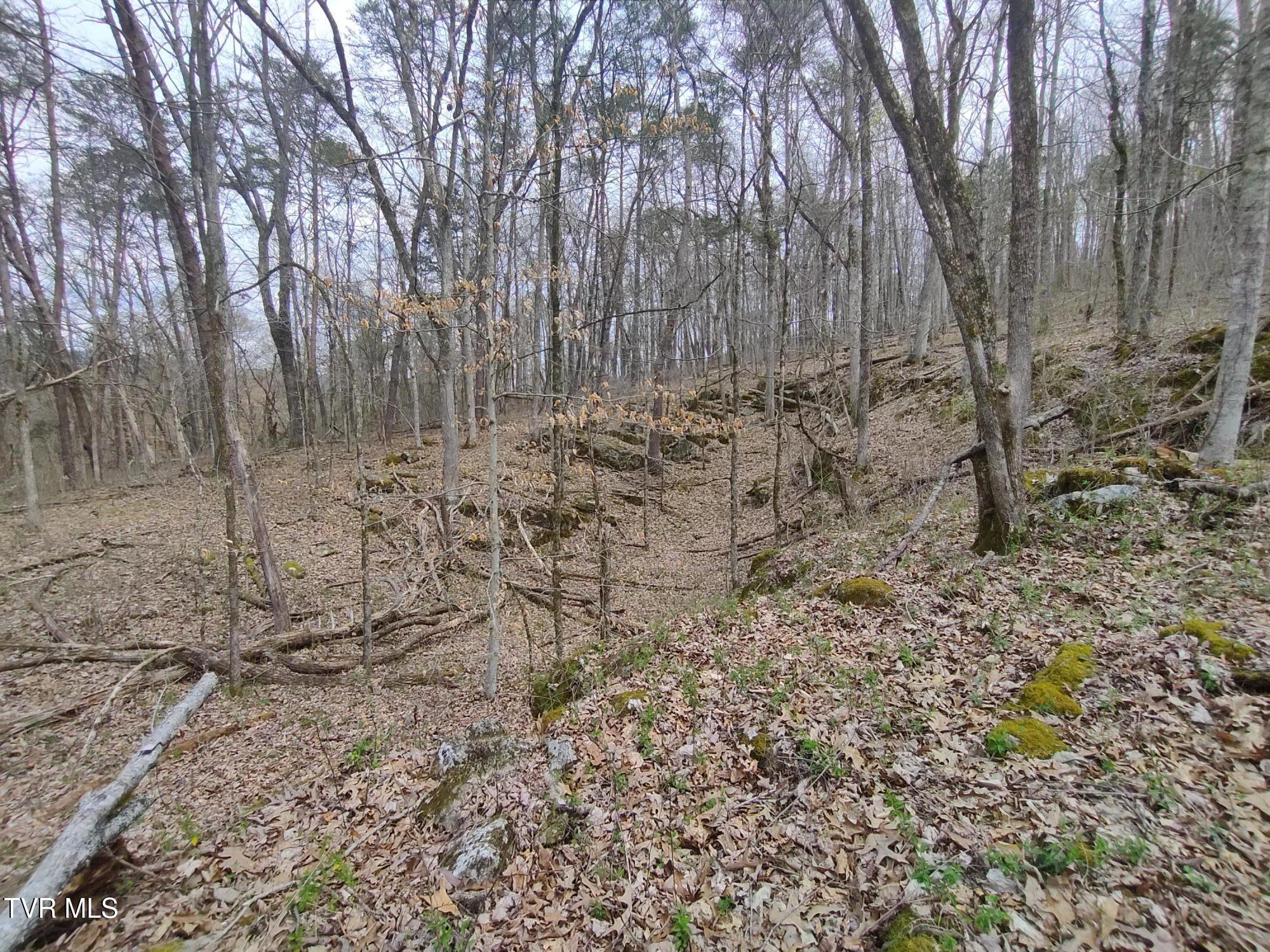 20 Acres Tbd Dunville Gap Road, Rutledge, Tennessee image 16