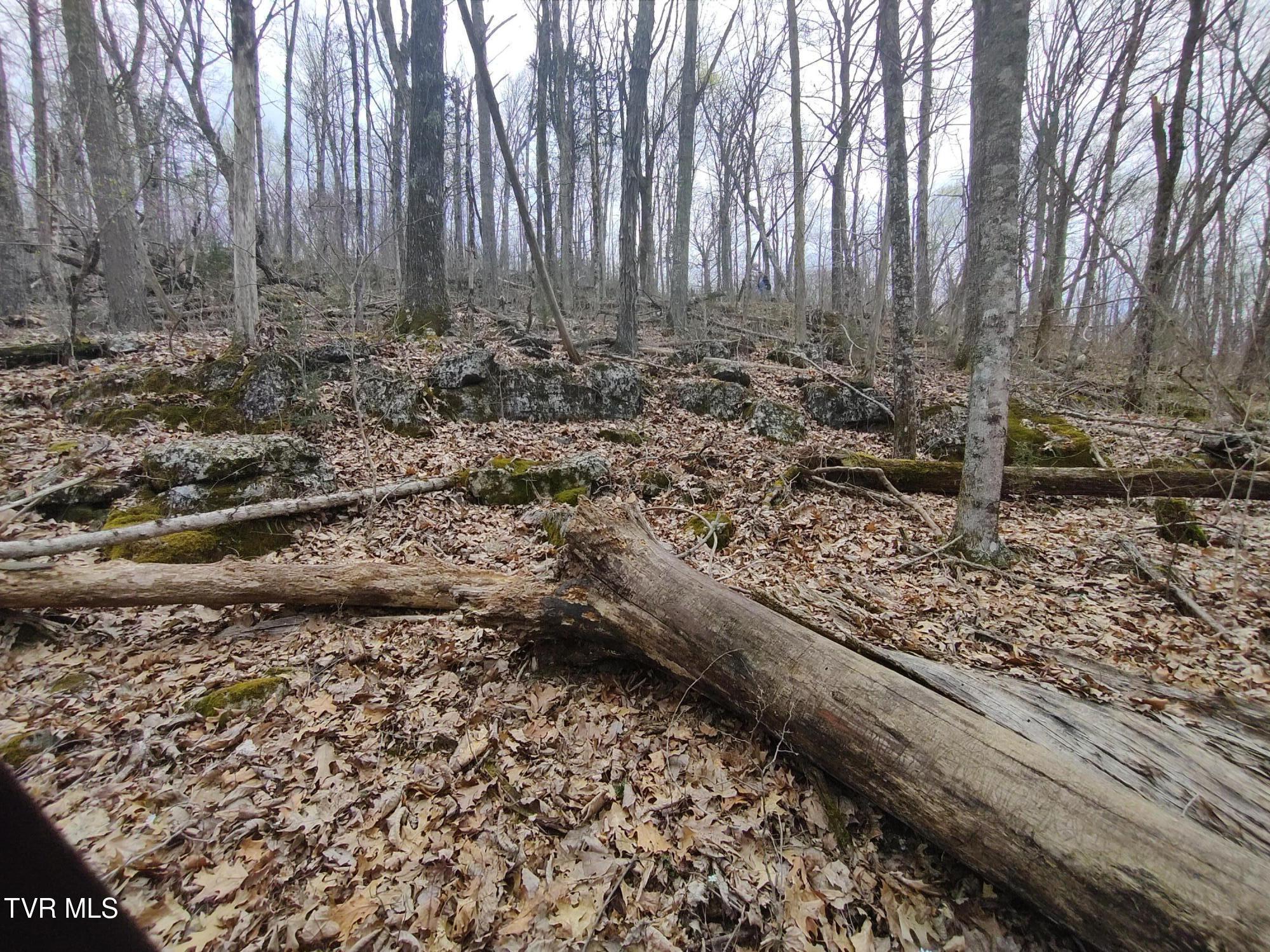 20 Acres Tbd Dunville Gap Road, Rutledge, Tennessee image 19