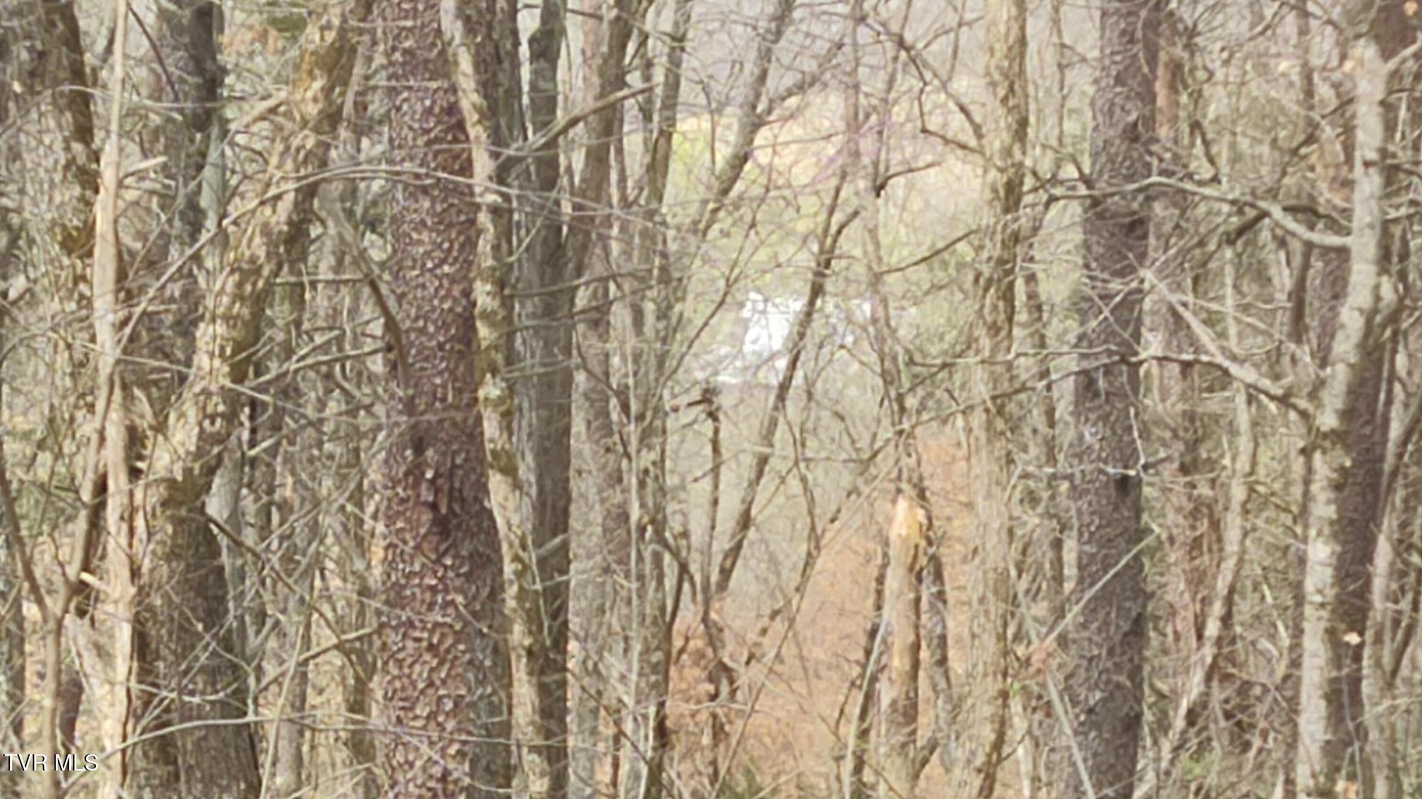 20 Acres Tbd Dunville Gap Road, Rutledge, Tennessee image 17